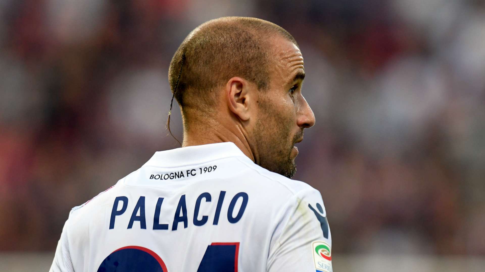 Rodrigo Palacio, Bologna, Serie A, 24092017