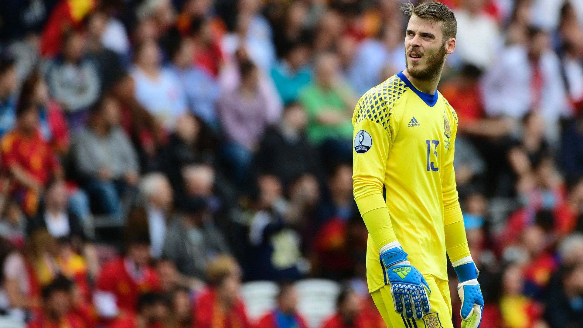 David De Gea Spain Czech Republic Euro 2016