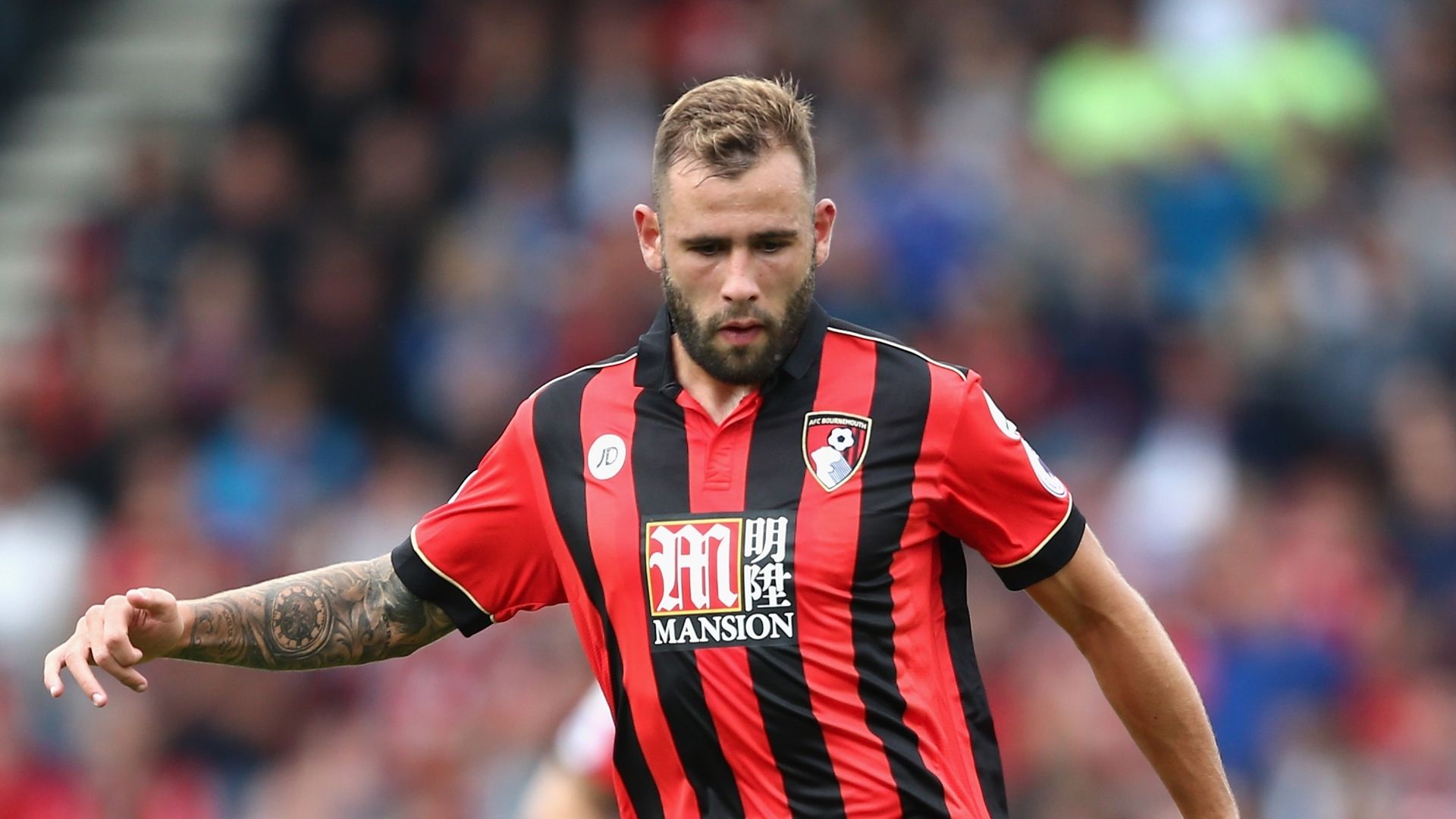 Steve Cook - Bournemouth