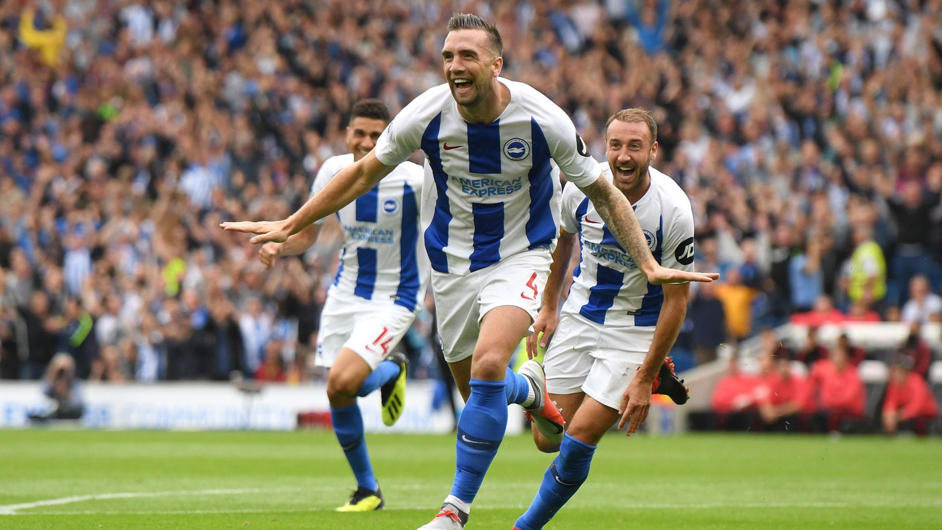 Brighton and Hove Albion 2018