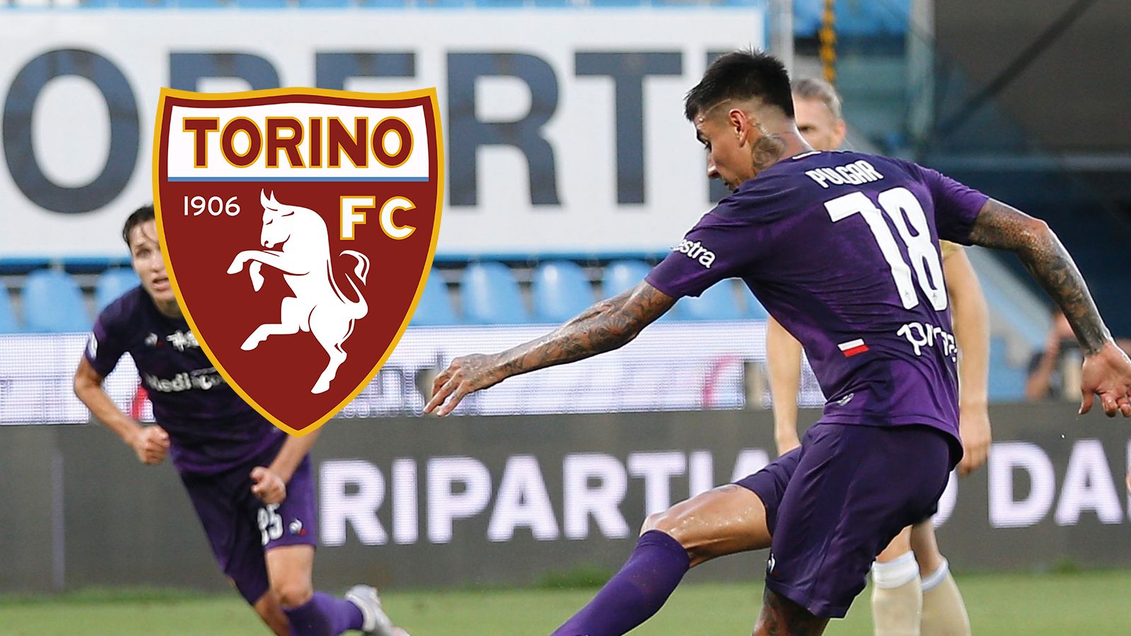 Erick Pulgar - Torino