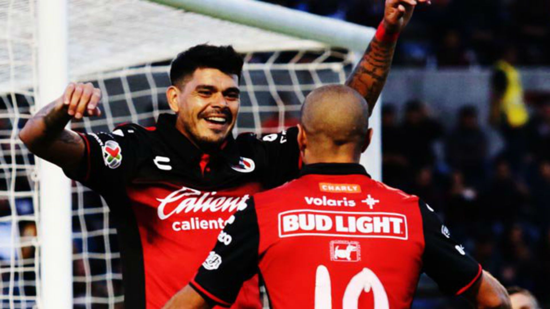 xolos lobos