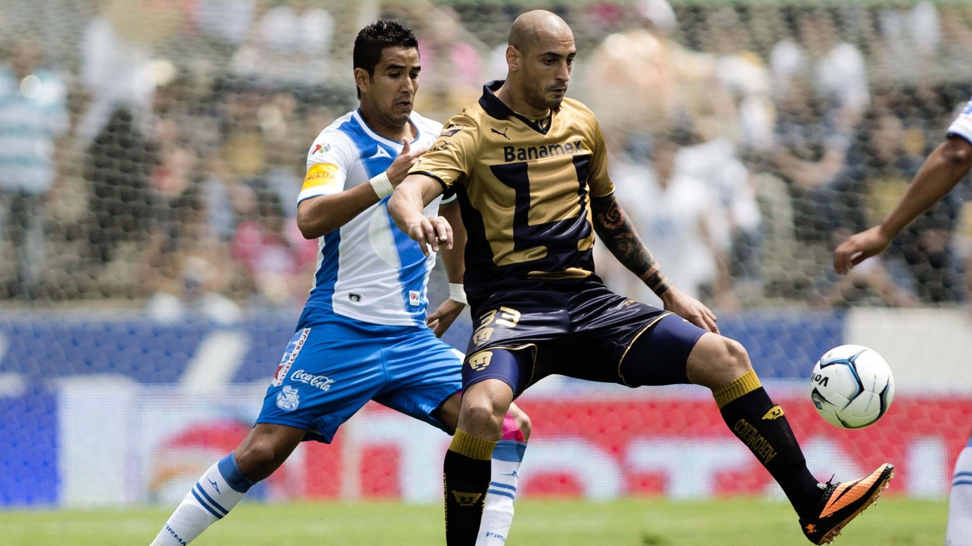 Ariel Nahuelpán Pumas 2013