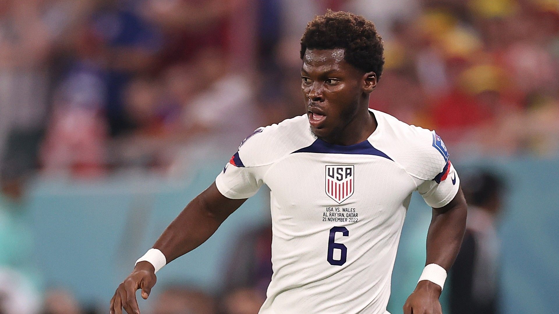 Yunus Musah USMNT United States World Cup 2022