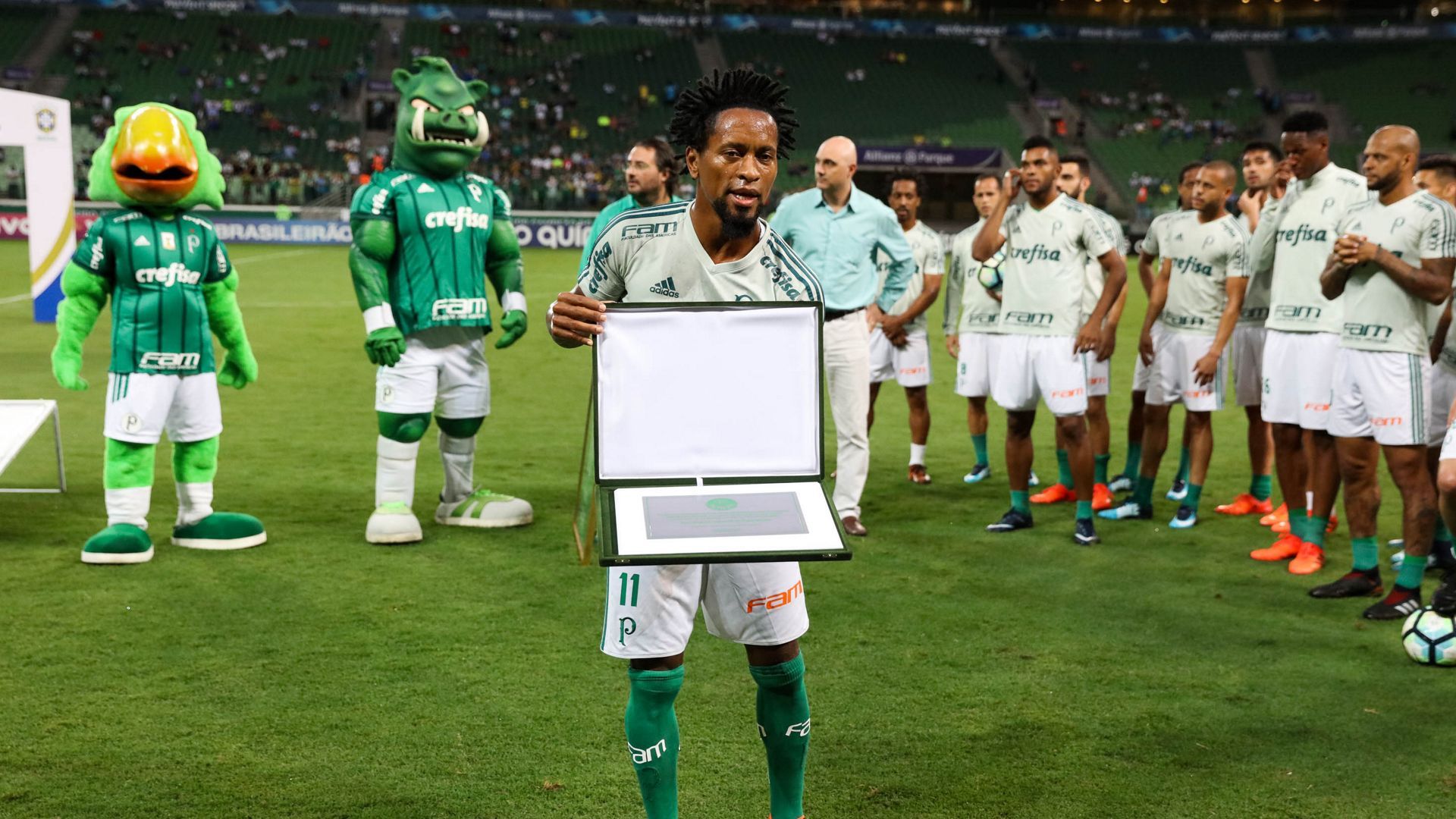 Ze Roberto homenagem Palmeiras Botafogo Brasileirao Serie A 27112017