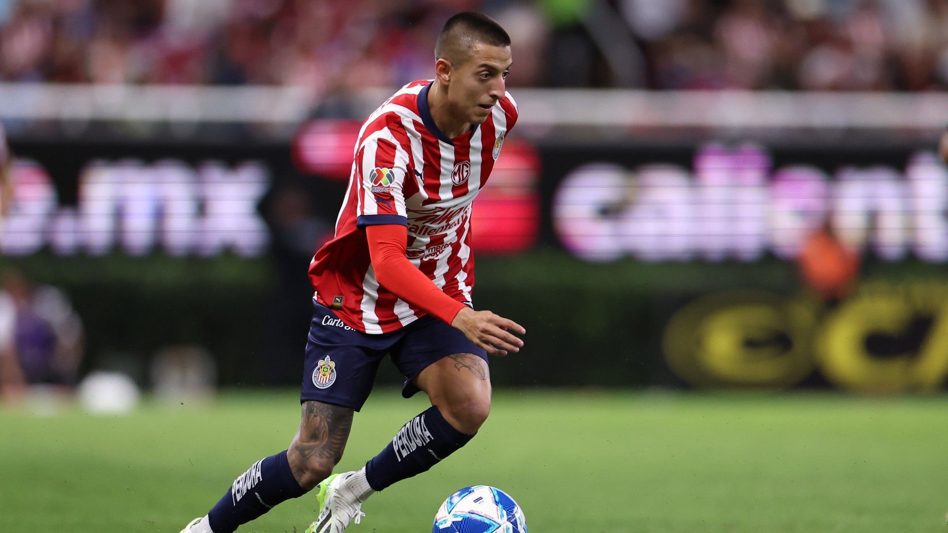 Roberto Alvarado Chivas Apertura 2024