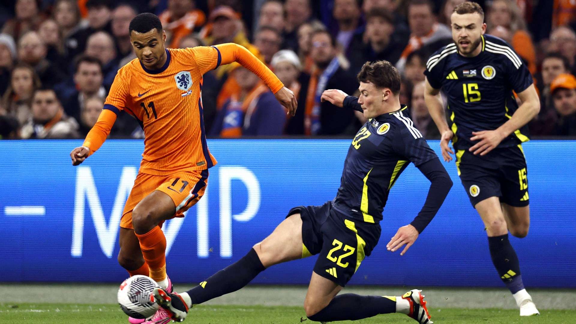 Netherlands forward Cody Gakpo