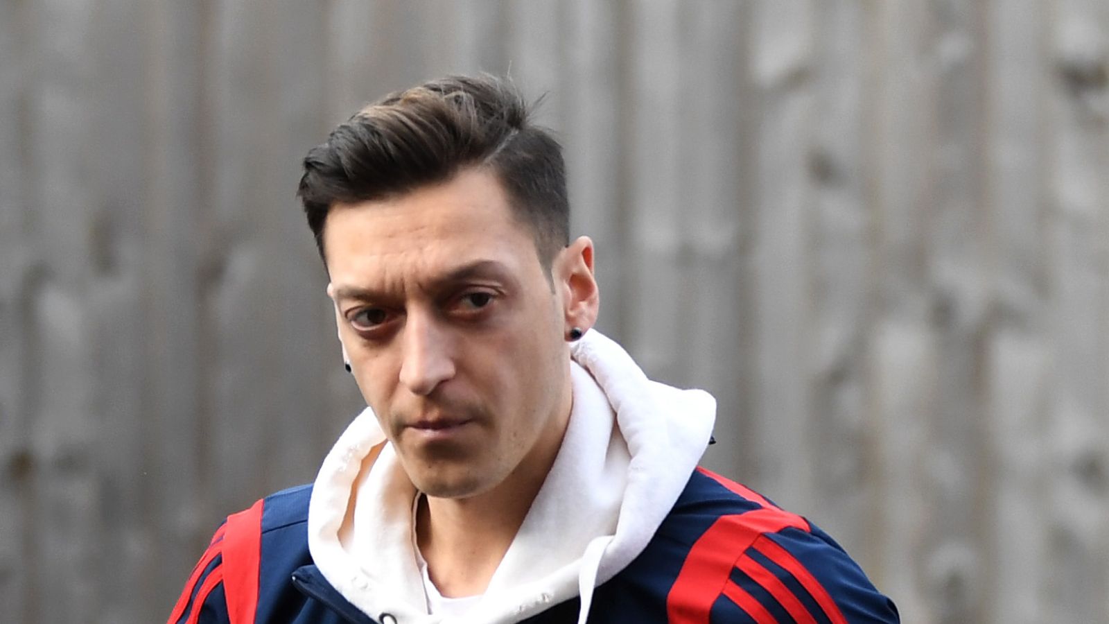 mesut ozil