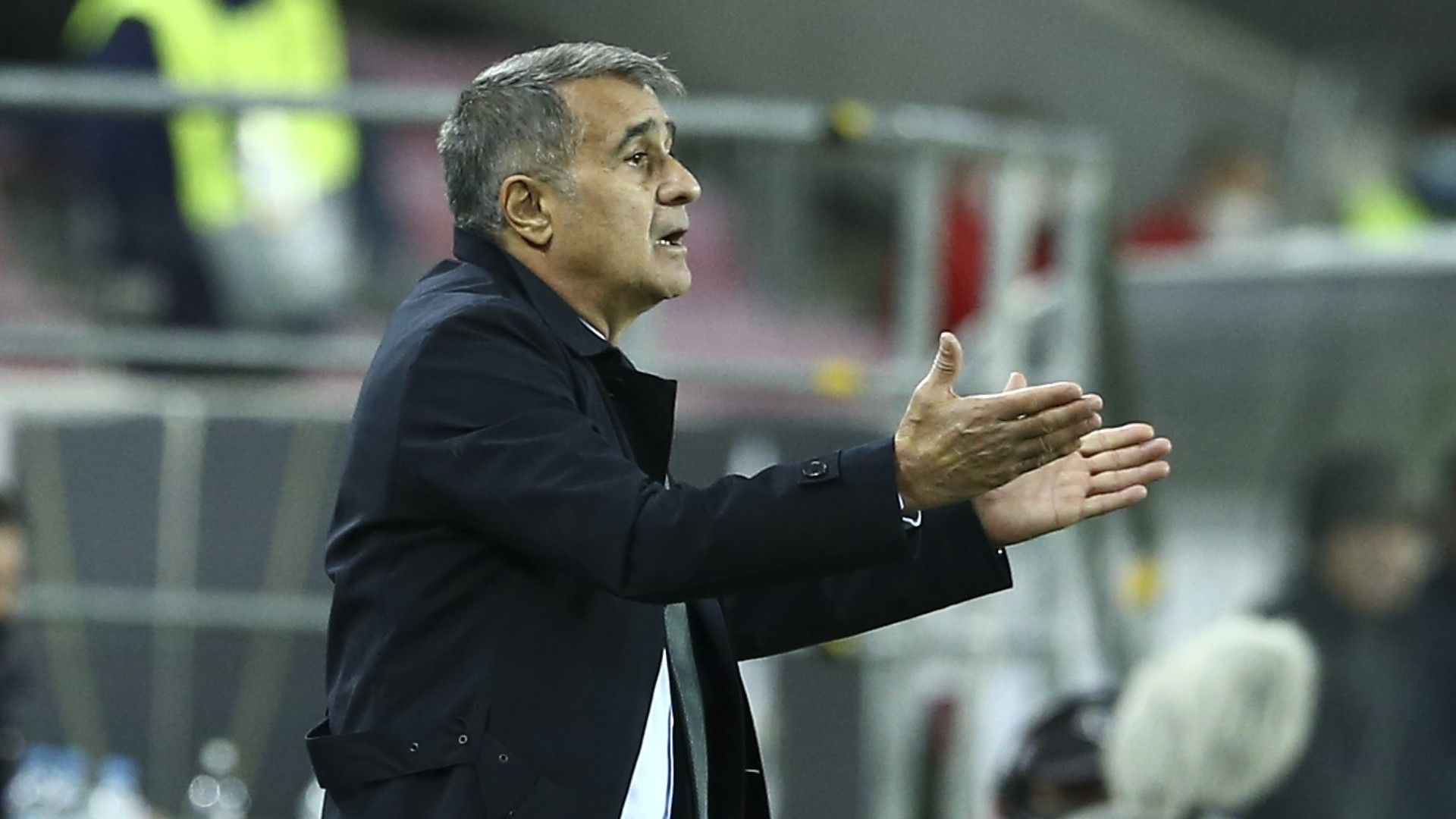 Senol Gunes Almanya Turkiye 07102020