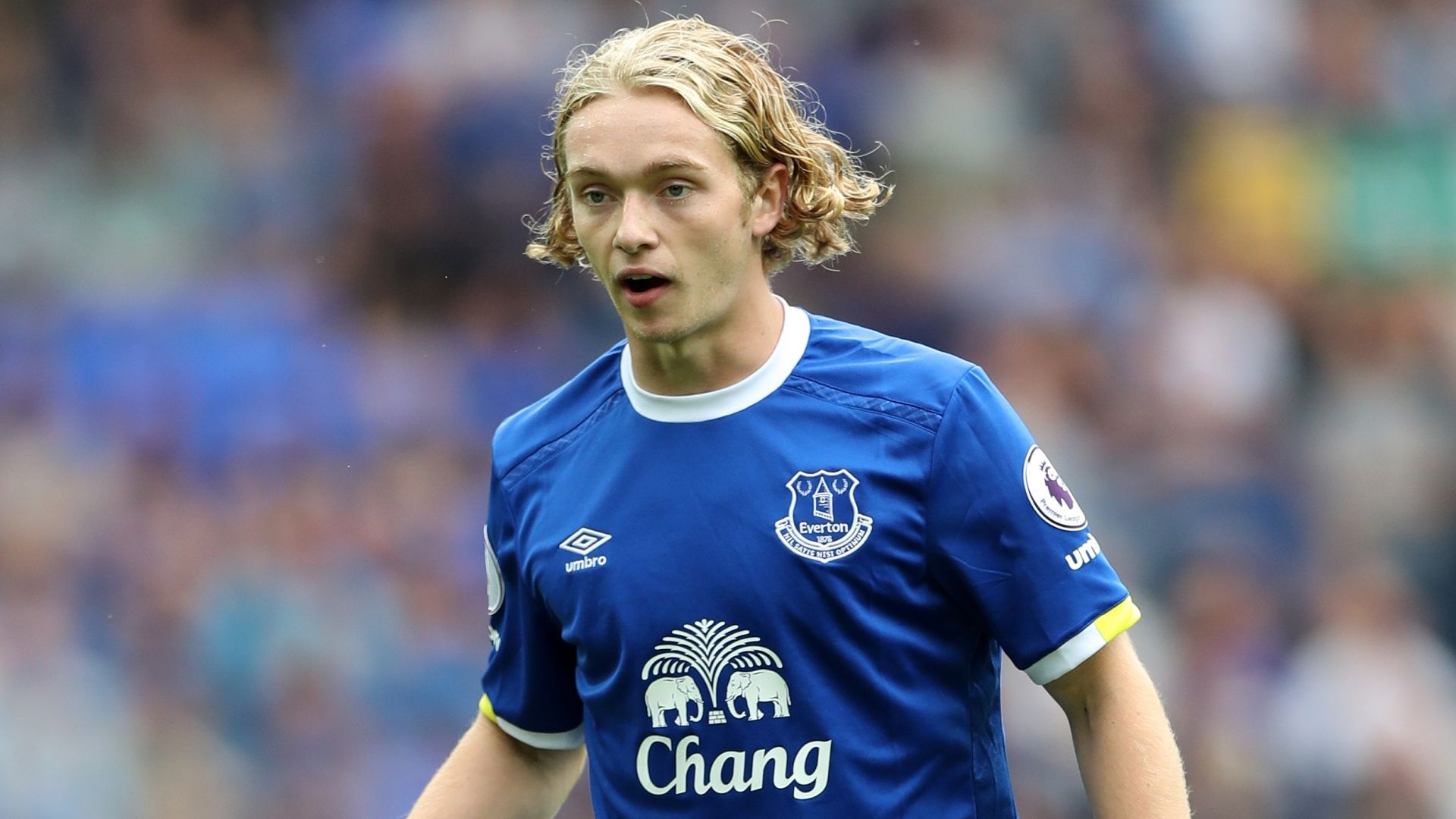 Tom Davies