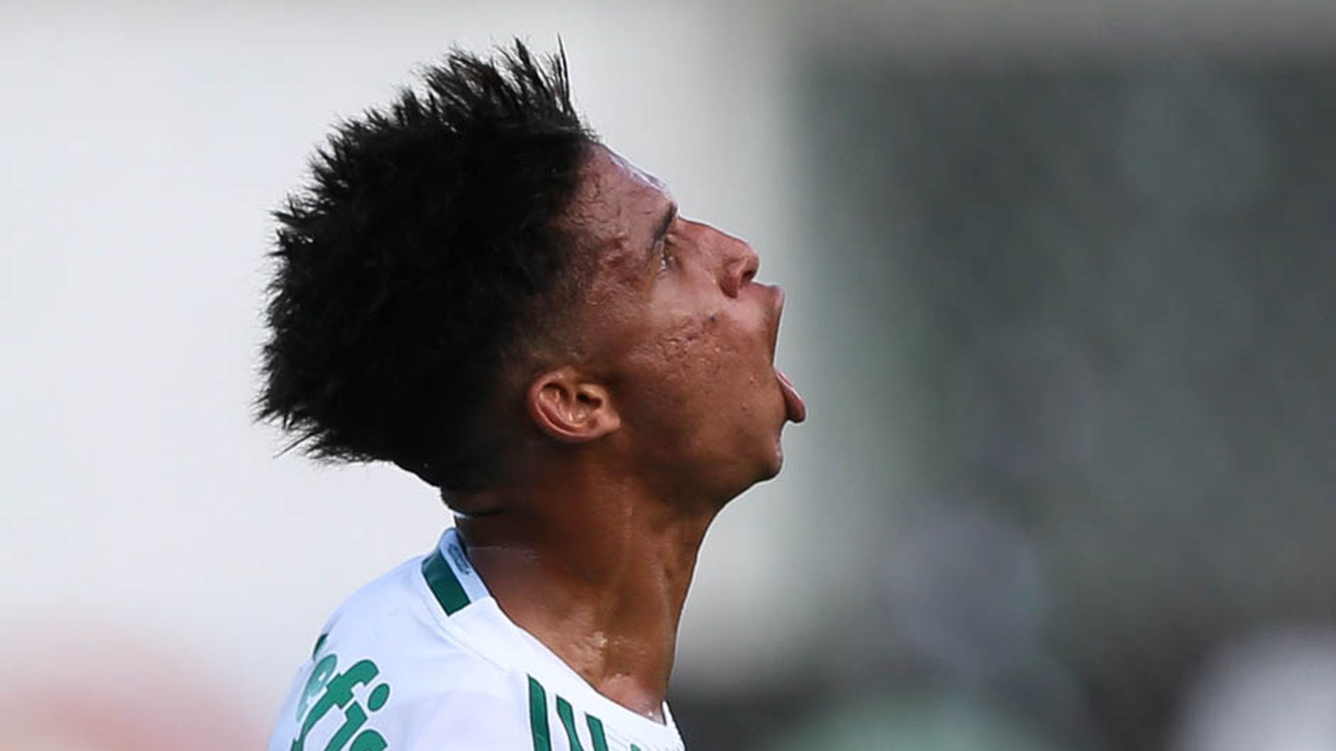 Vitinho Chapecoense Palmeiras Amistoso 21012017