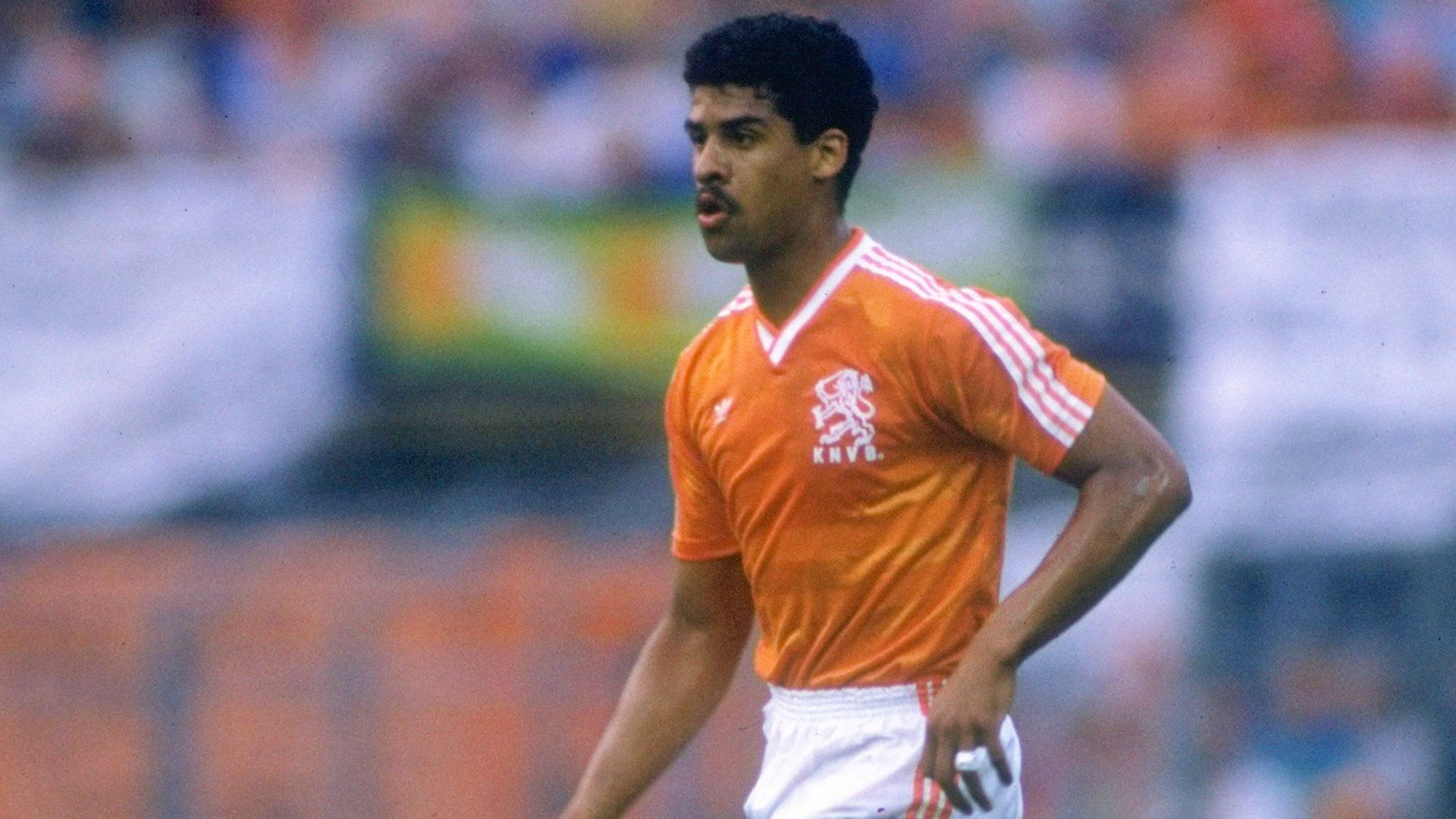 Frank Rijkaard Netherlands