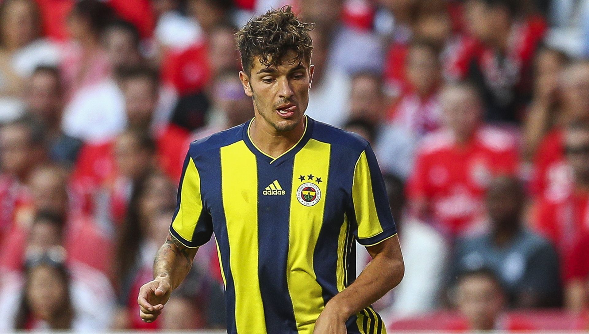 Roman Neustadter Fenerbahce