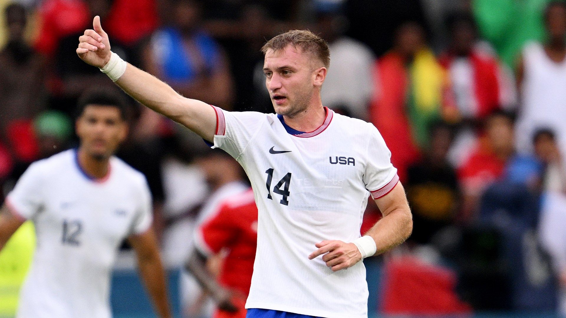 Djordje Mihailovic USMNT 2024