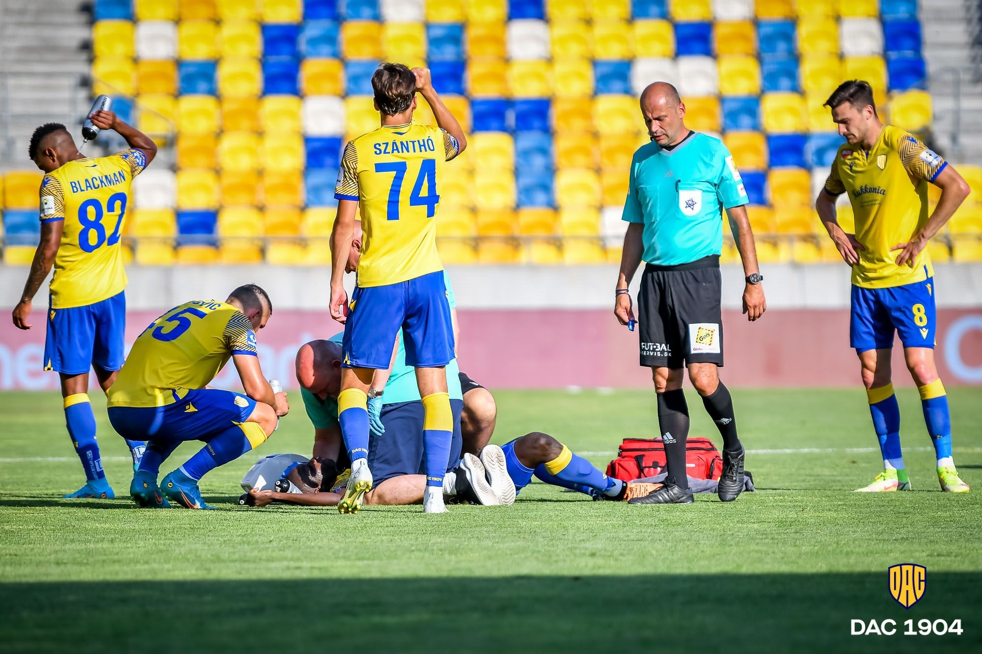 𝗦𝗮𝗶𝗻𝗲𝘆 𝗡𝗷𝗶𝗲