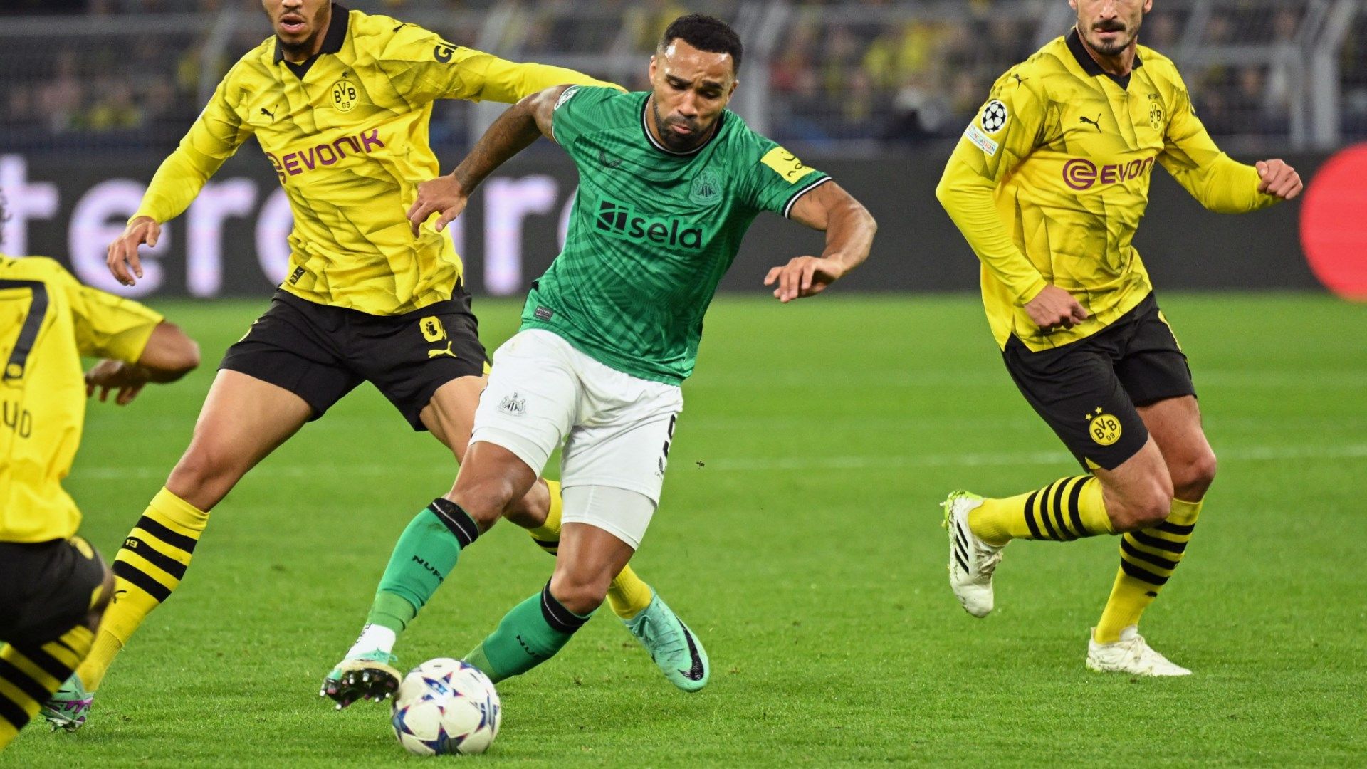 Callum Wilson Newcastle 2023-24