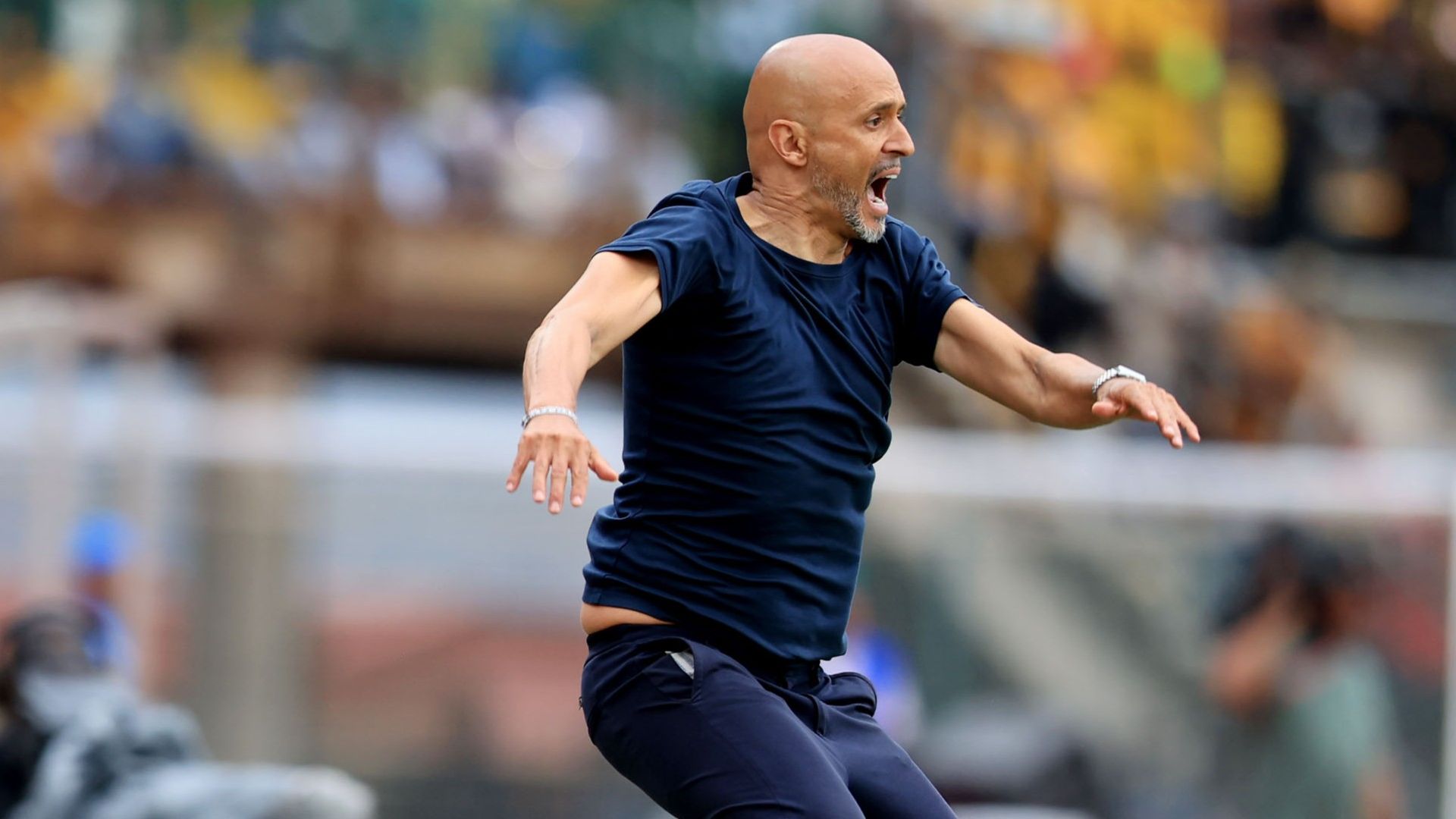 Miguel Cardoso, Mamelodi Sundowns