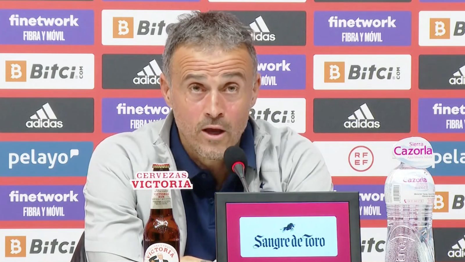 Luis Enrique, España vs. Albania