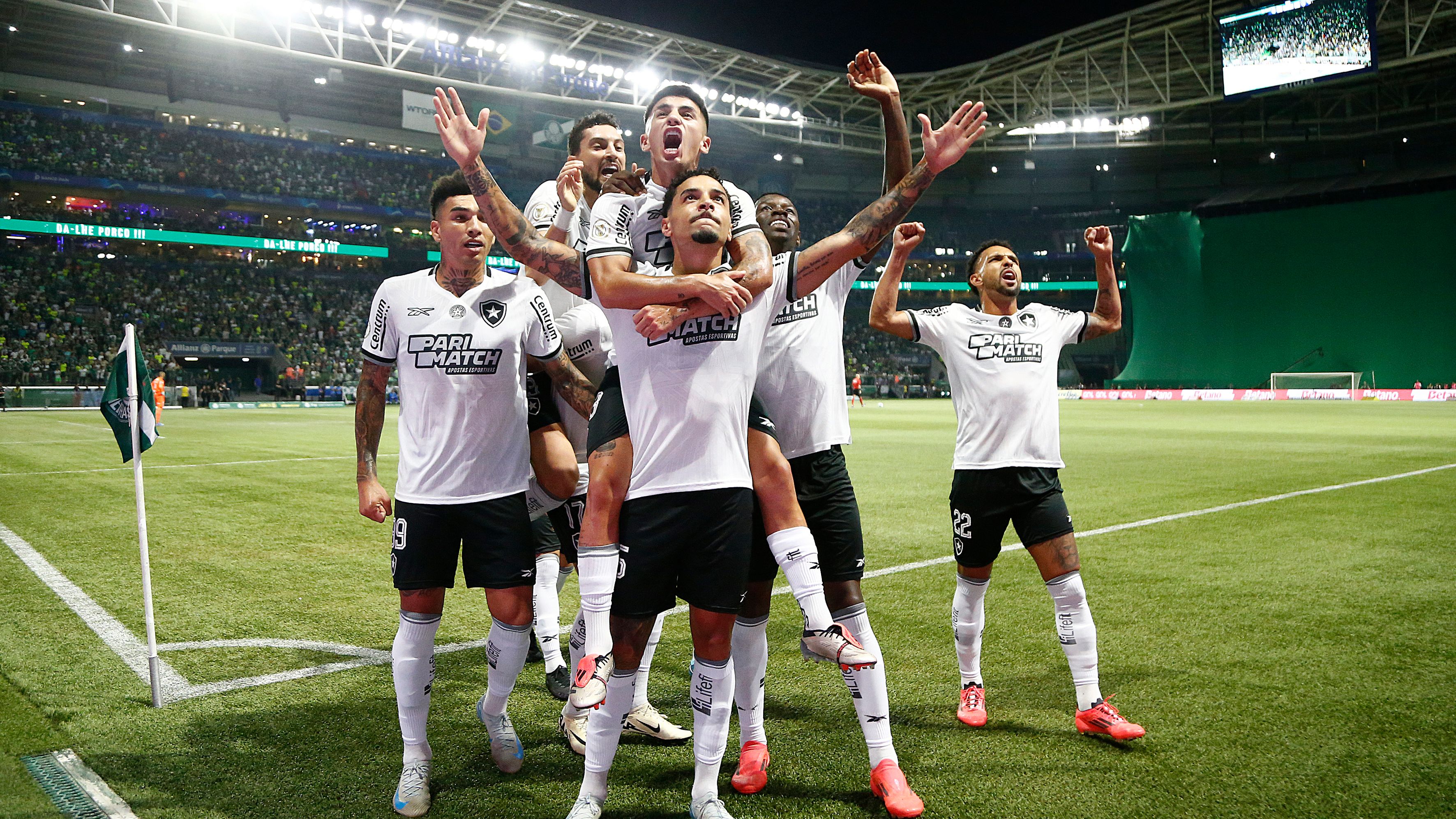 Botafogo Palmeiras 2024