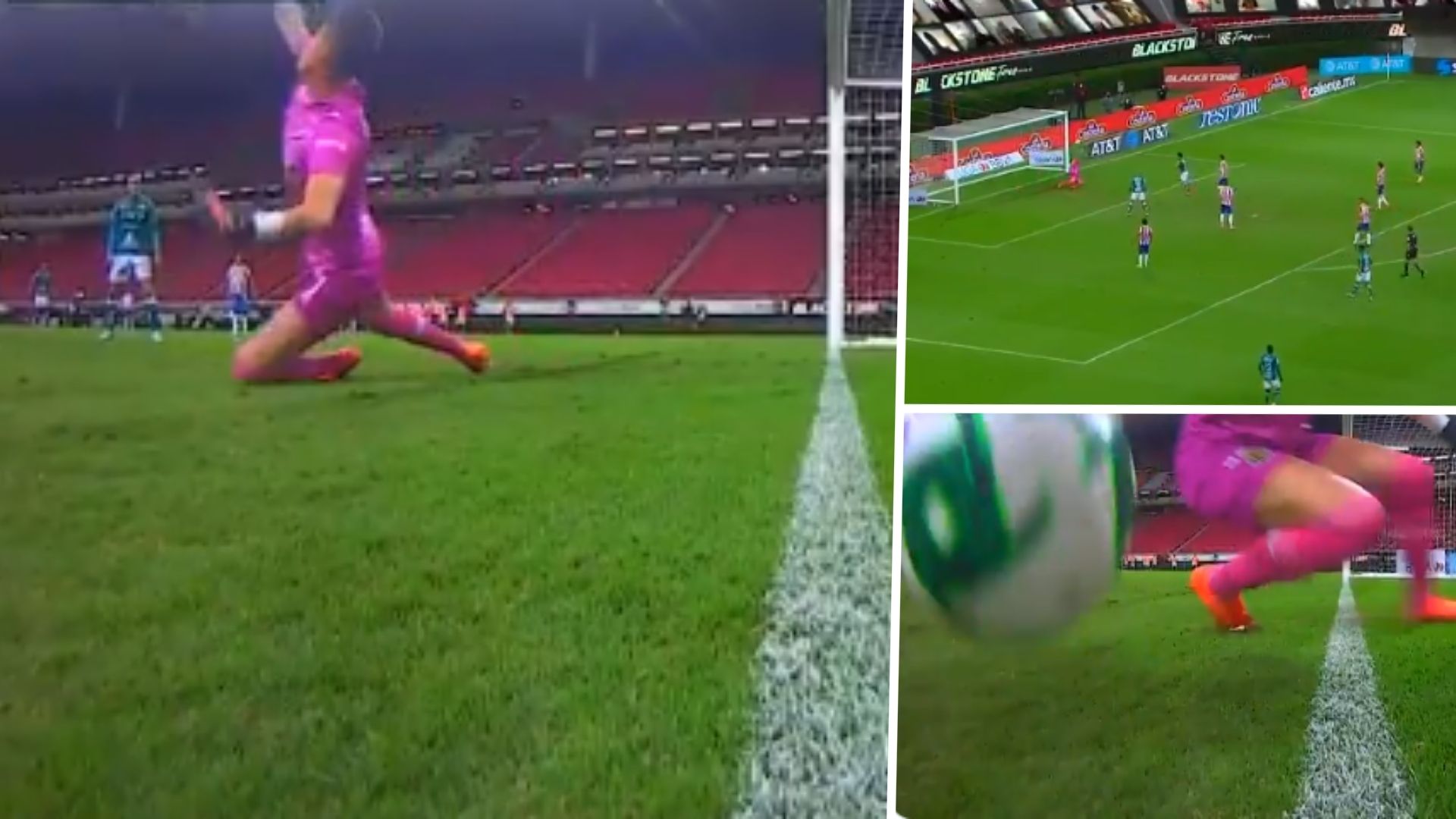 Gudiño atajada León