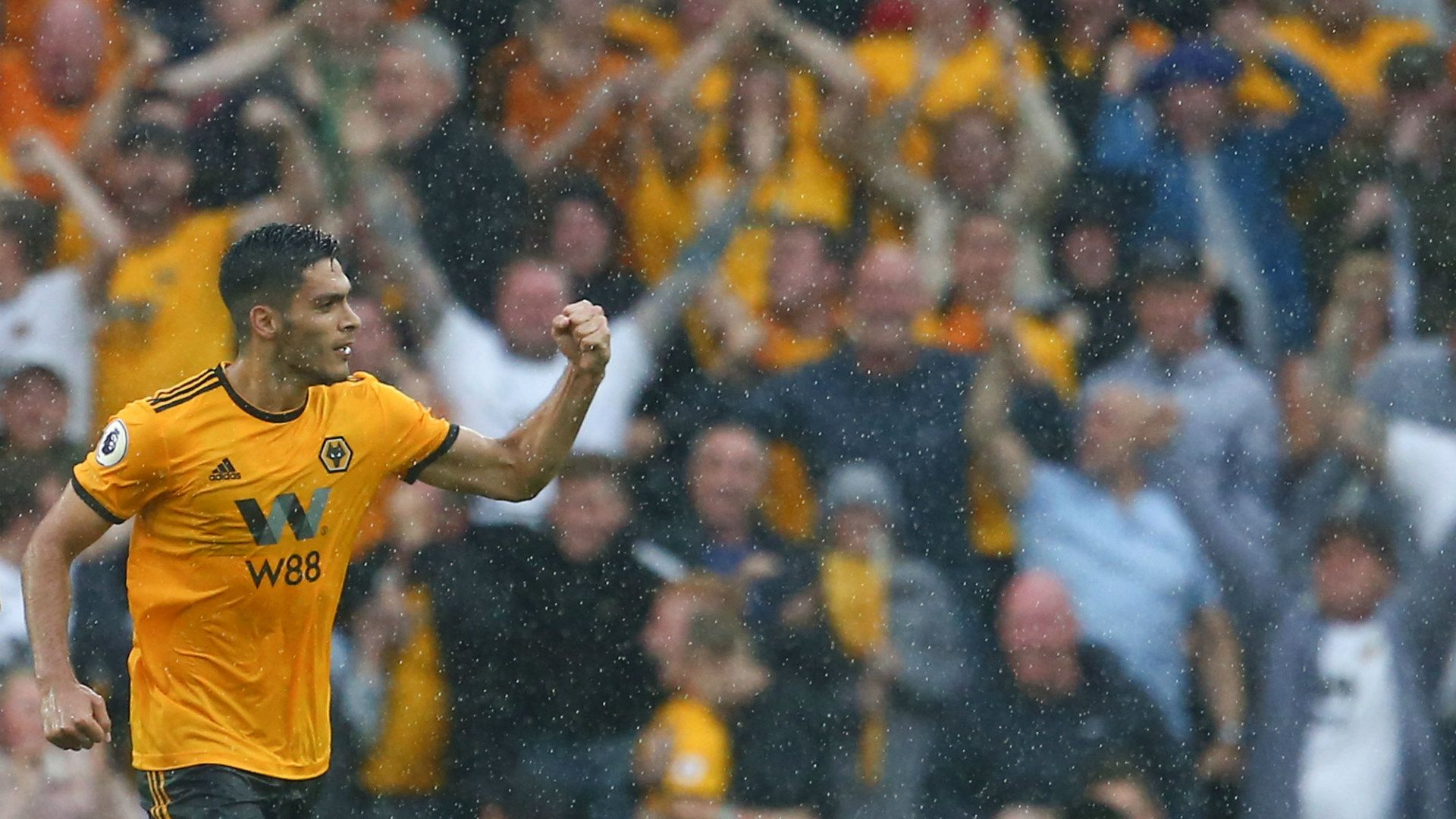 Raul Jimenez Wolves