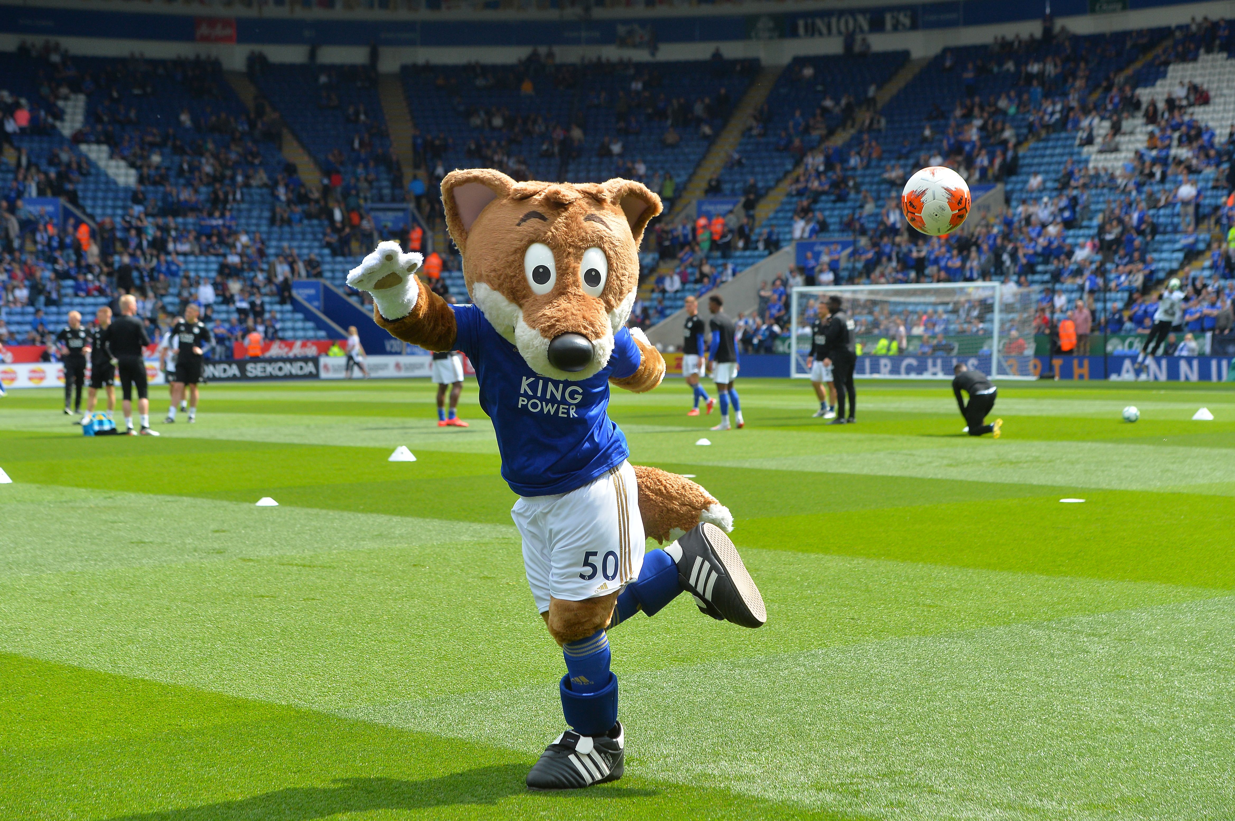 Filbert Fox - Leicester City 2019