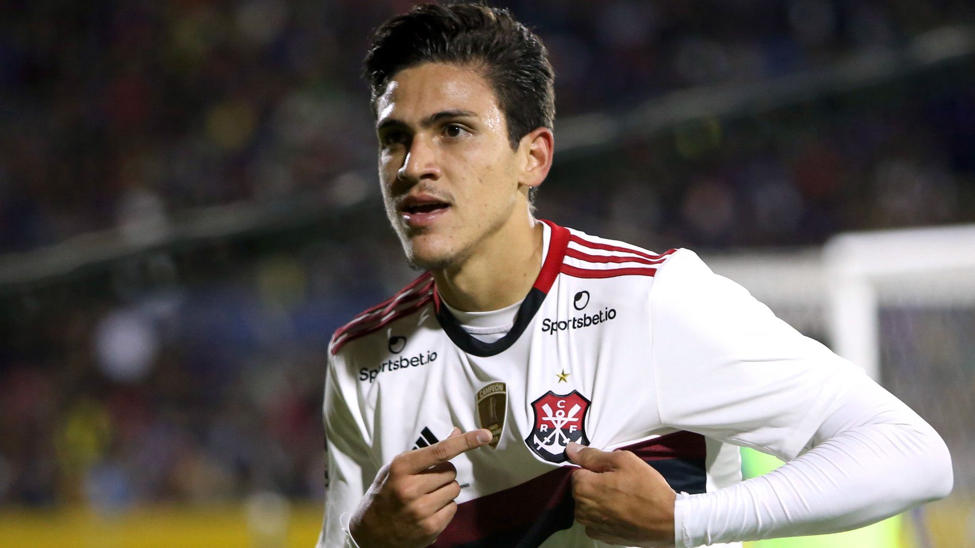 Pedro Flamengo