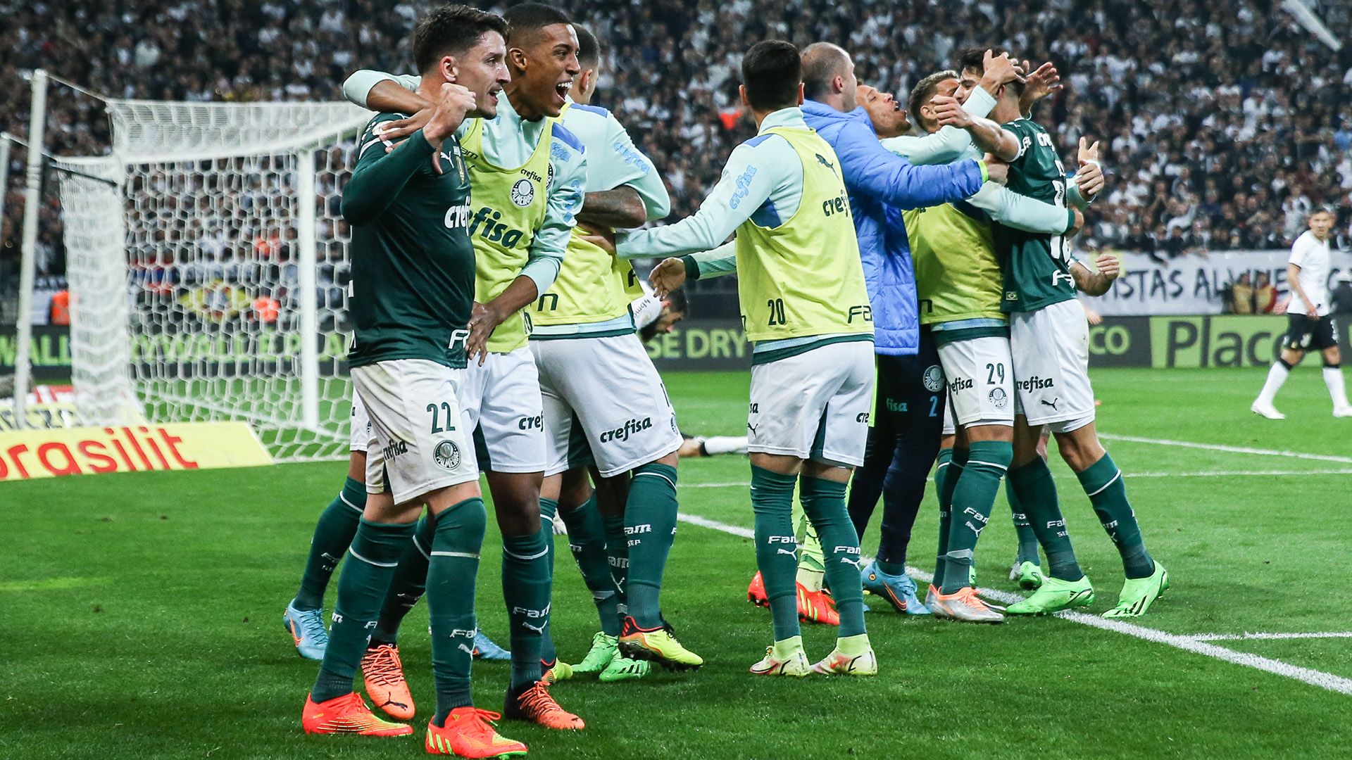 Palmeiras comemora, Corinthians x Palmeiras