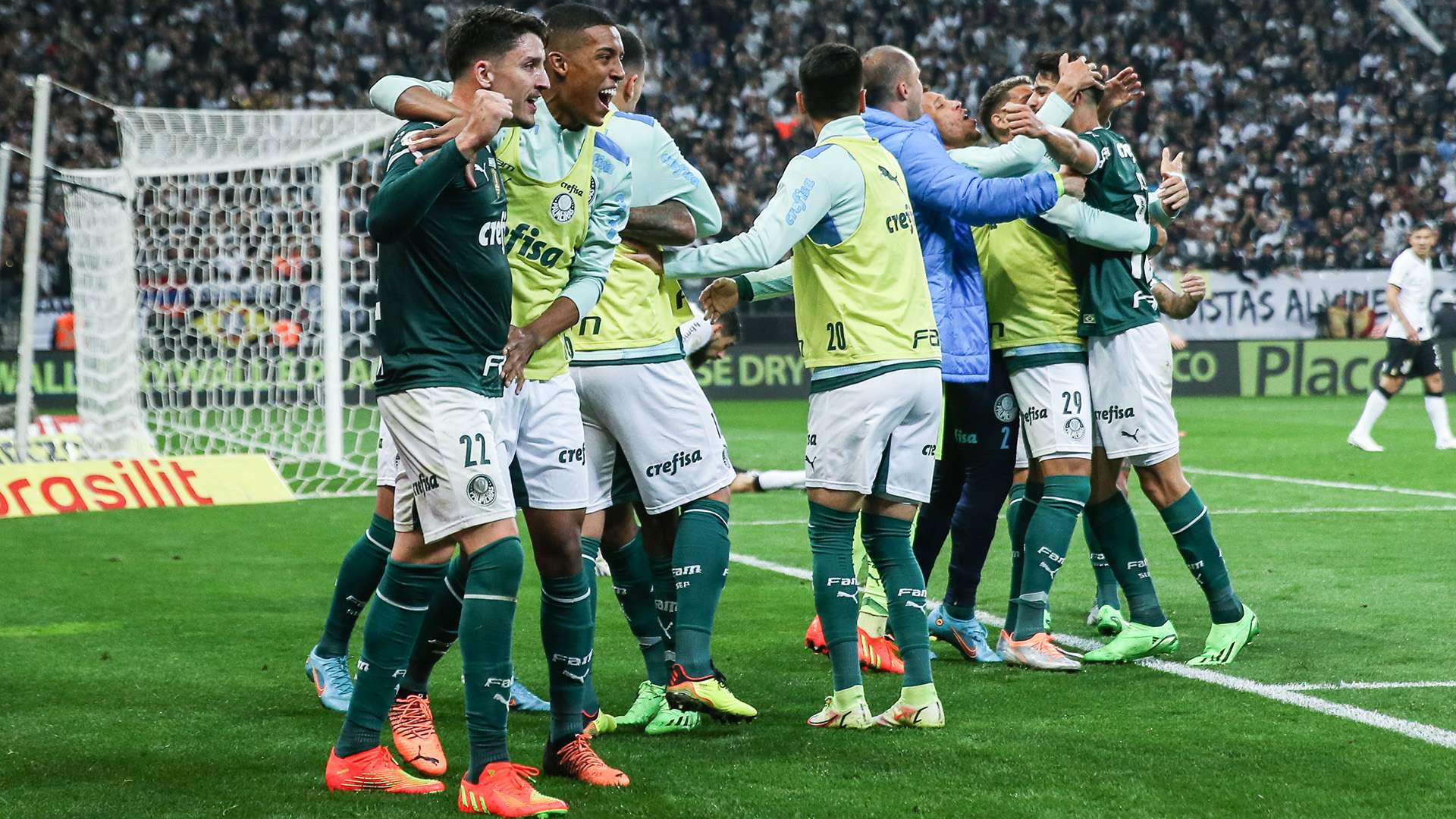 Palmeiras comemora, Corinthians x Palmeiras