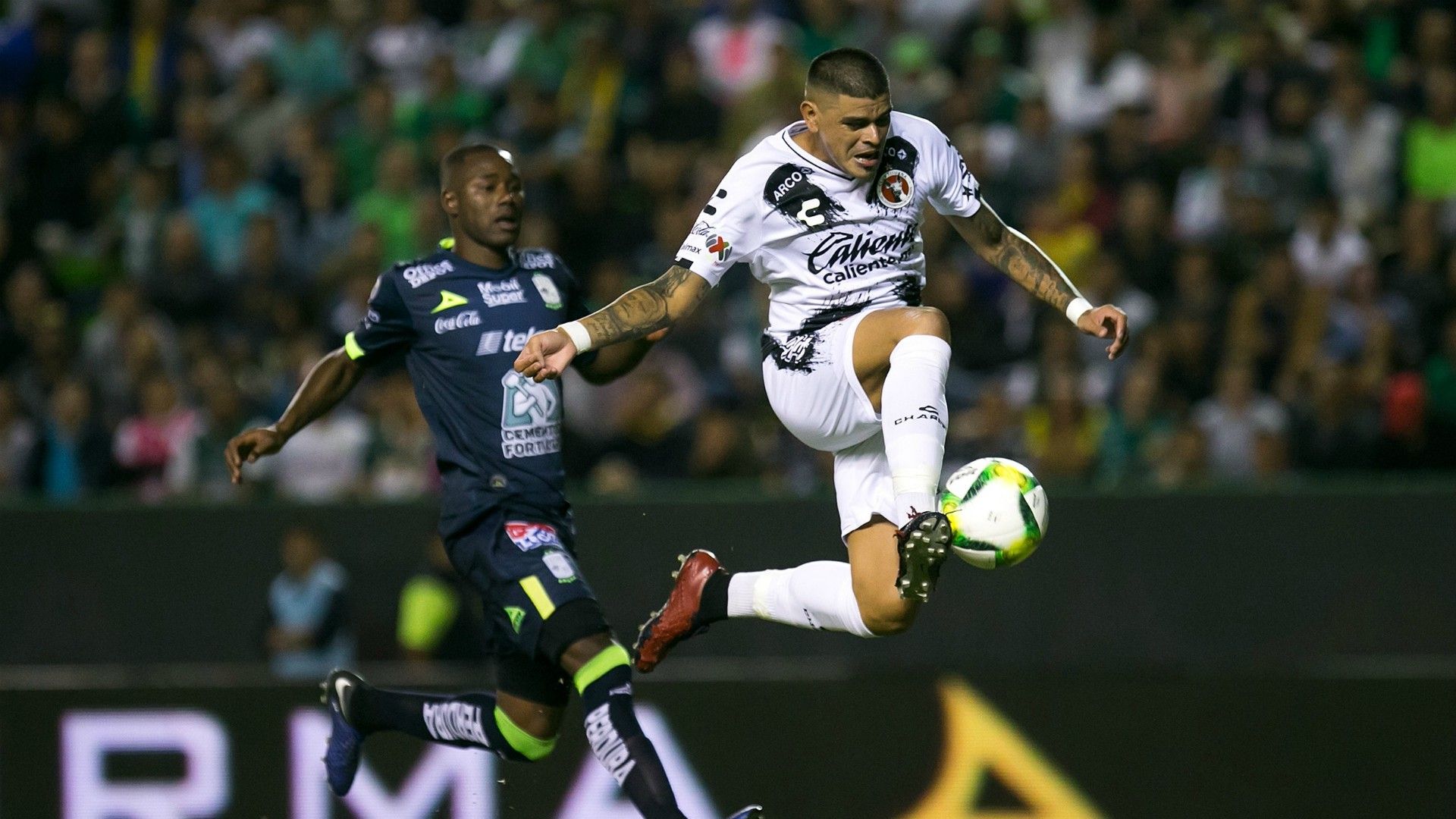 León Tijuana Clausura 2019