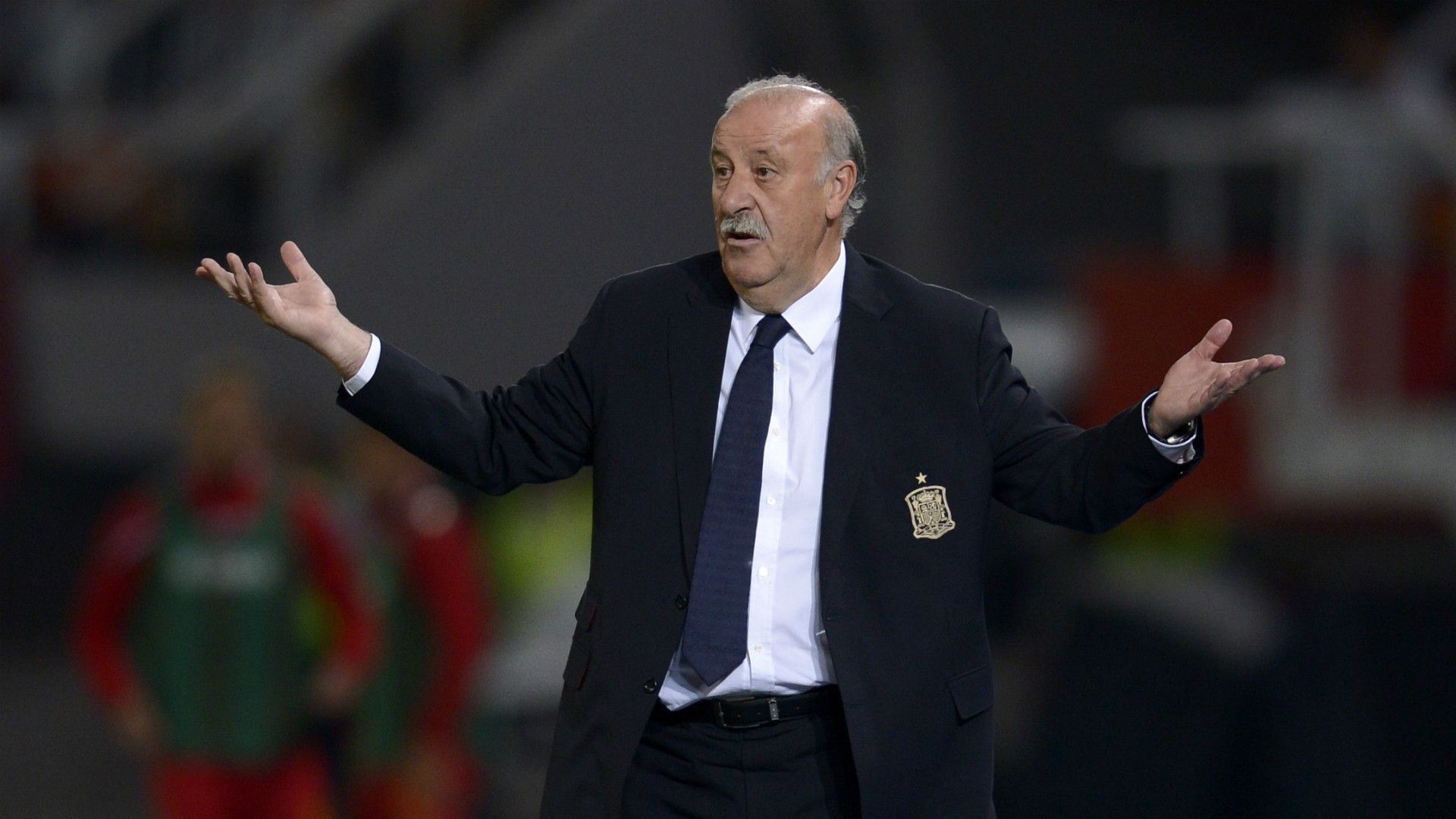 Vicente del Bosque Macedonia Spain Euro Qualifier