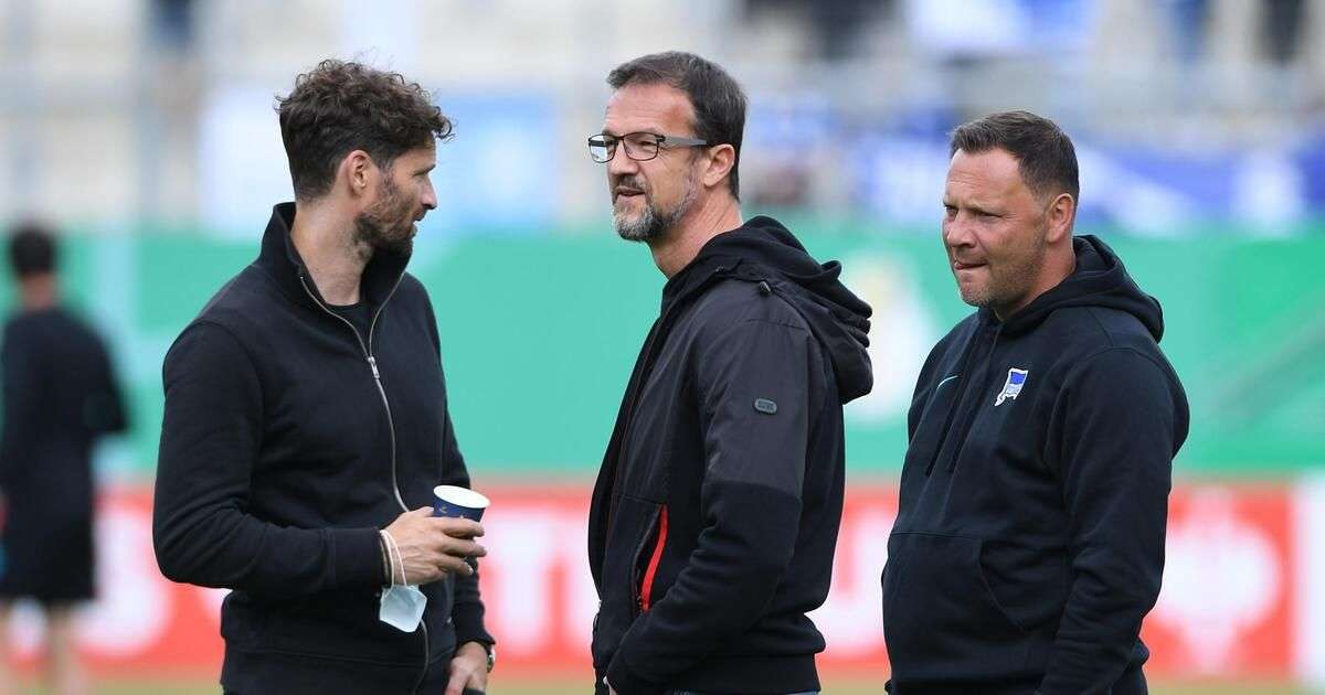 Bobic Dárdai Hertha