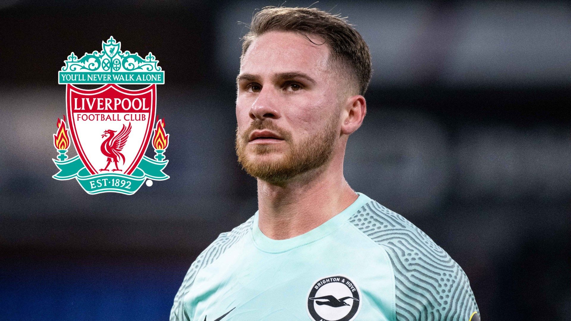 Alexis Mac Allister Brighton w/ Liverpool badge