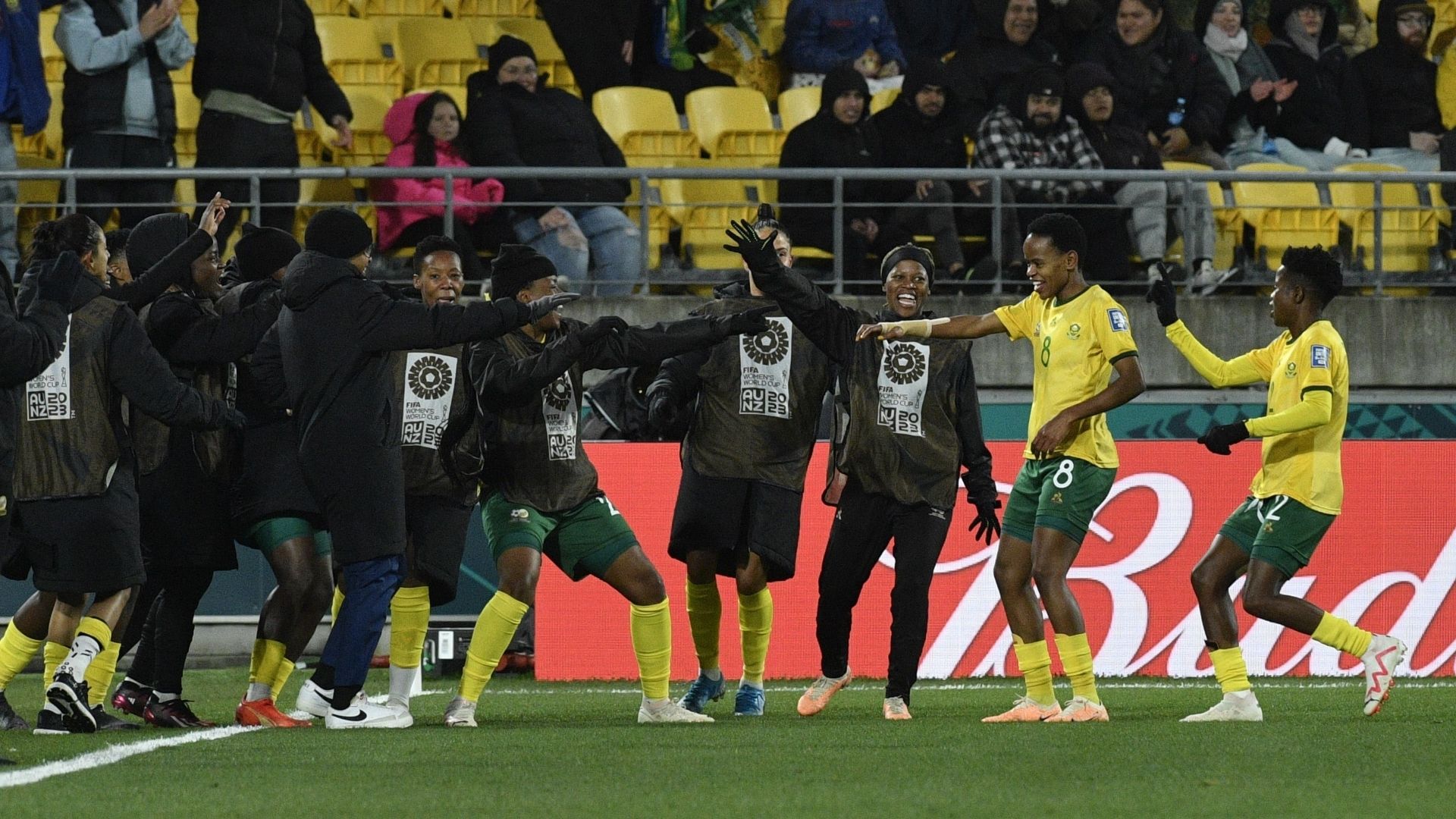 Banyana Banyana, Fifa World Cup