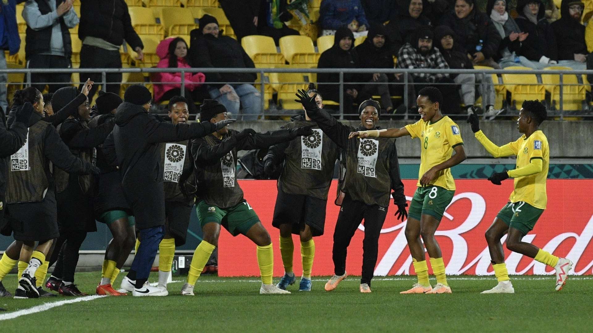 Banyana Banyana, Fifa World Cup