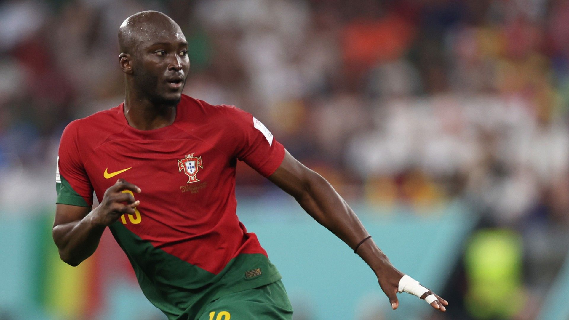 DANILO Pereira-portugal-20221124-wc