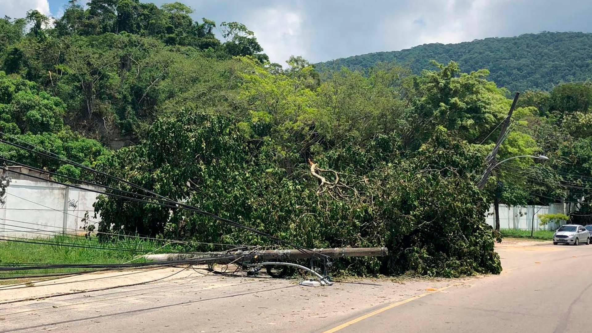 CT Flamengo Incêndio árvore caida na região 08 02 19