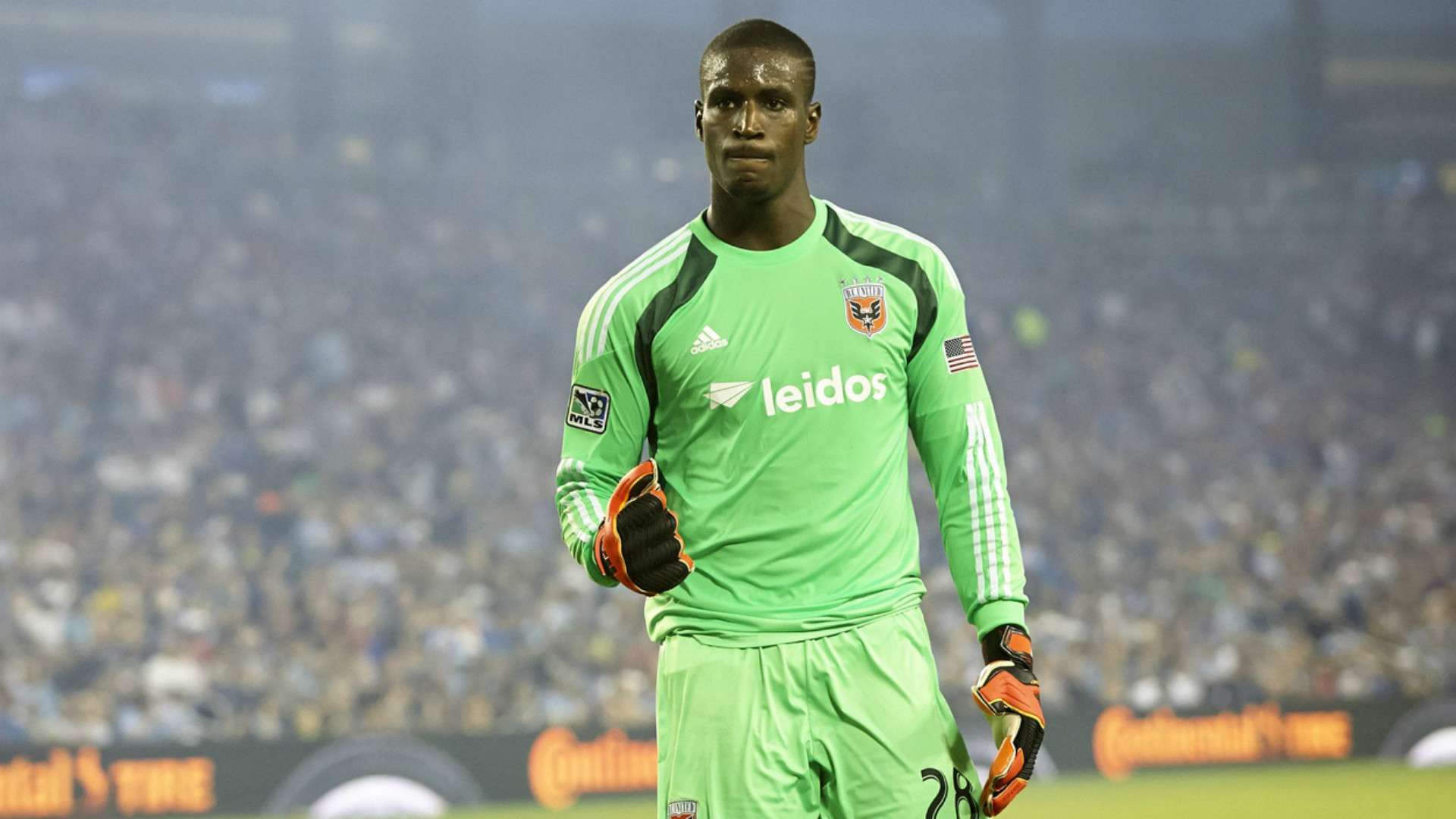 Bill Hamid MLS DC United 08232014