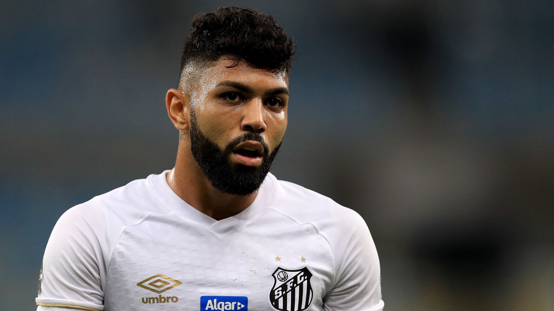 Gabigol Vasco Santos Brasileirao Serie A 01092018