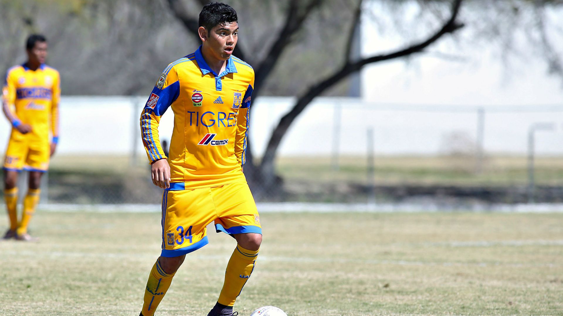 Jonathan Espericueta Tigres