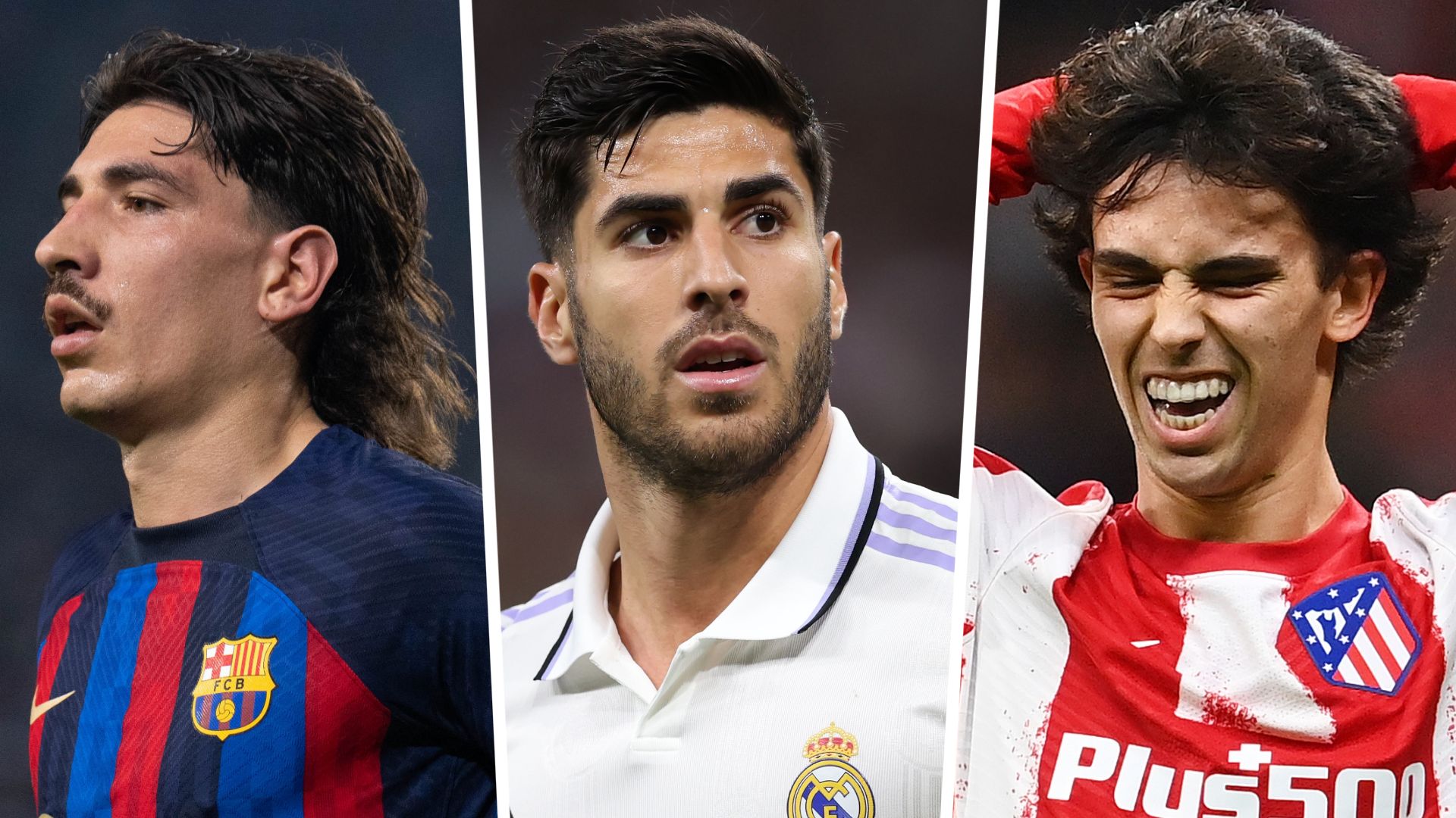 Mercado 12 noviembre 