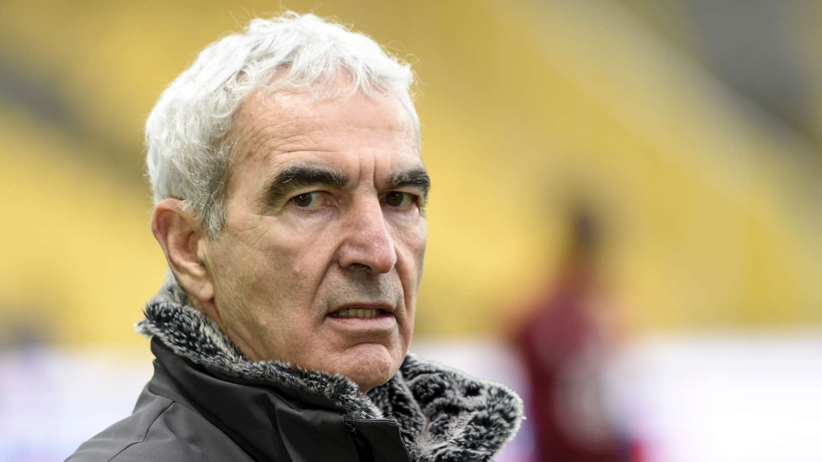 Raymond Domenech
