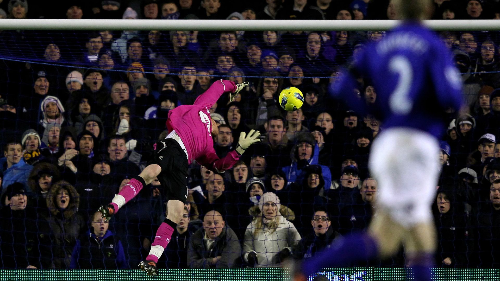 Tim Howard Adam Bogdan Everton Bolton Premier League 04012012