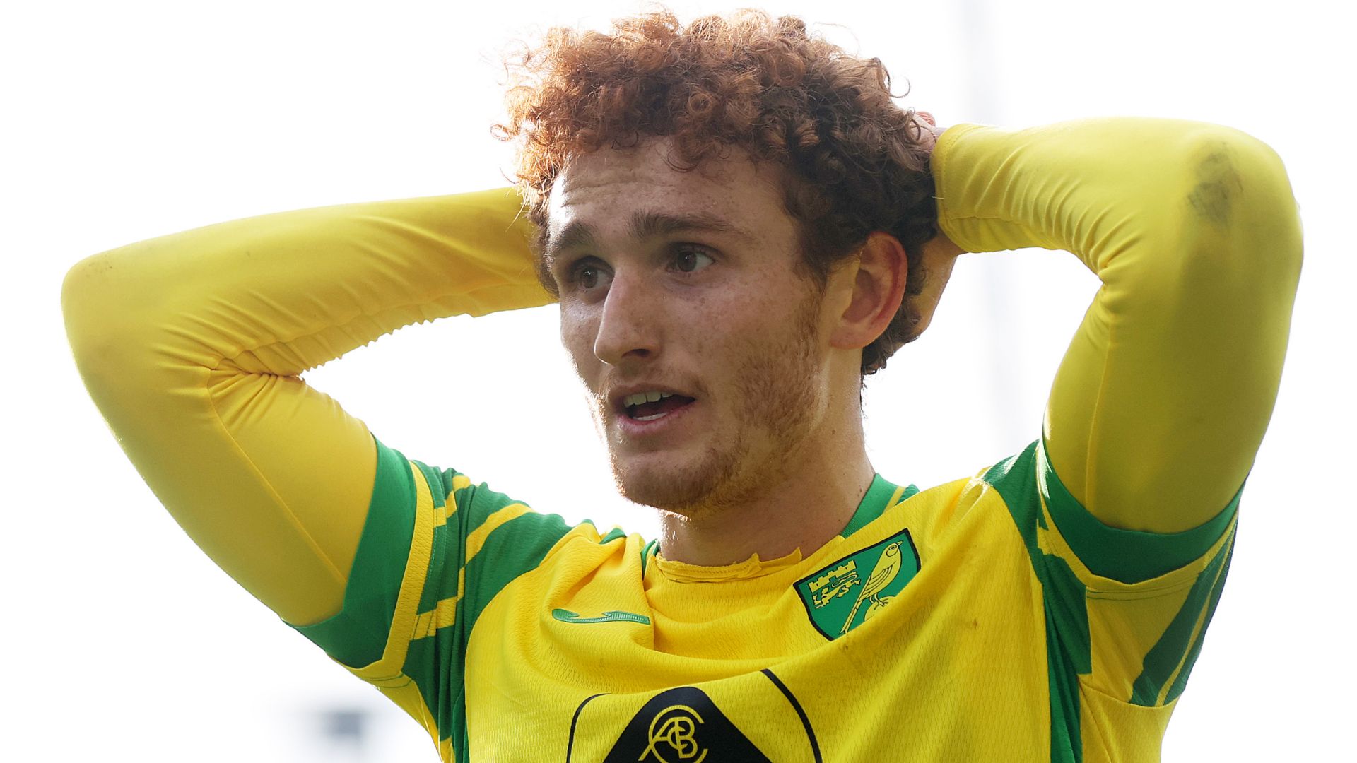 Josh Sargent Norwich 2021-22 Premier League