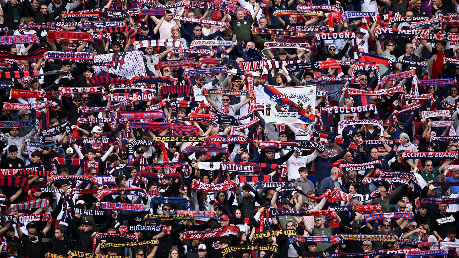 tifosi bologna