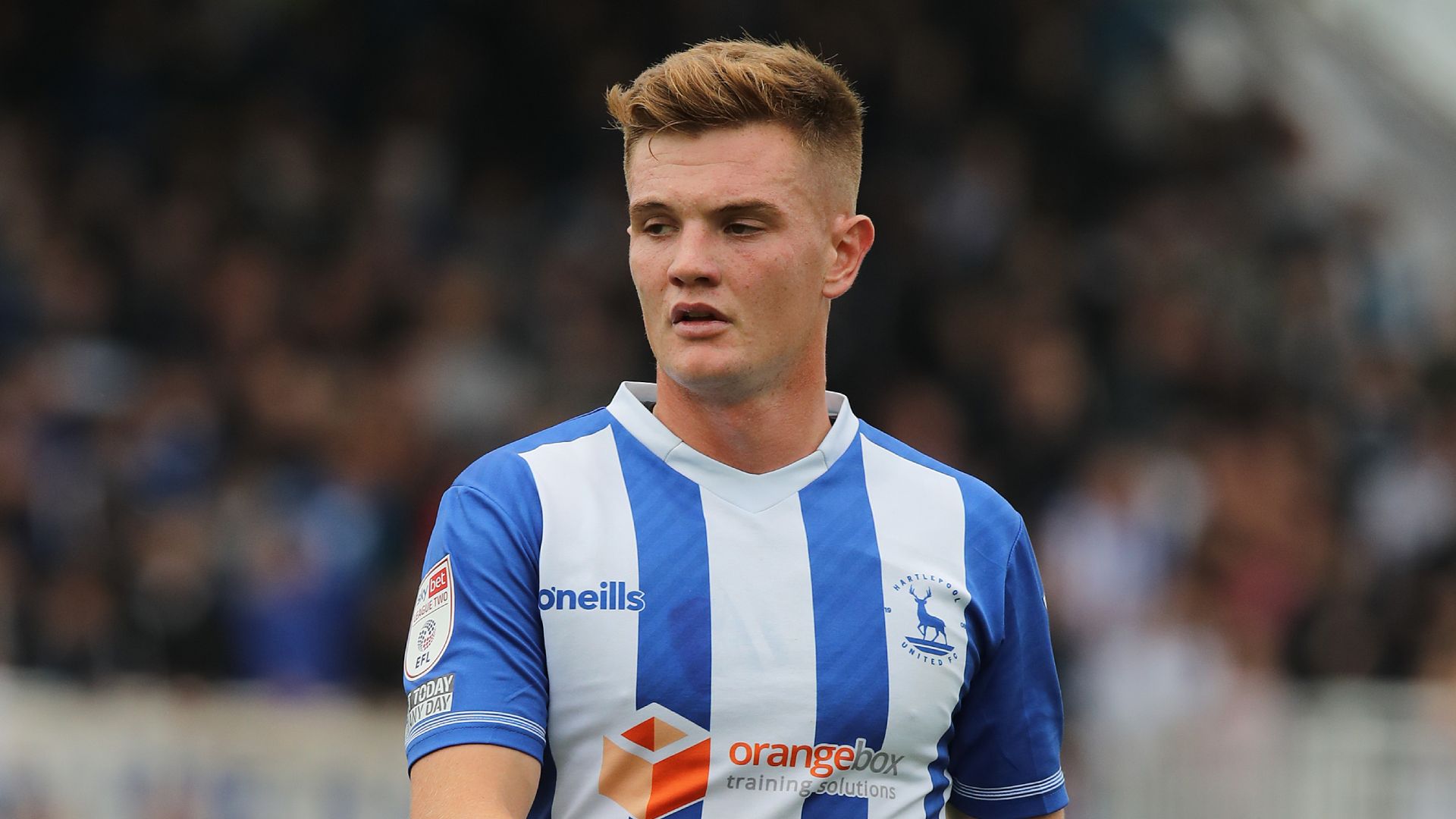 Mark Shelton Hartlepool Coton-tige