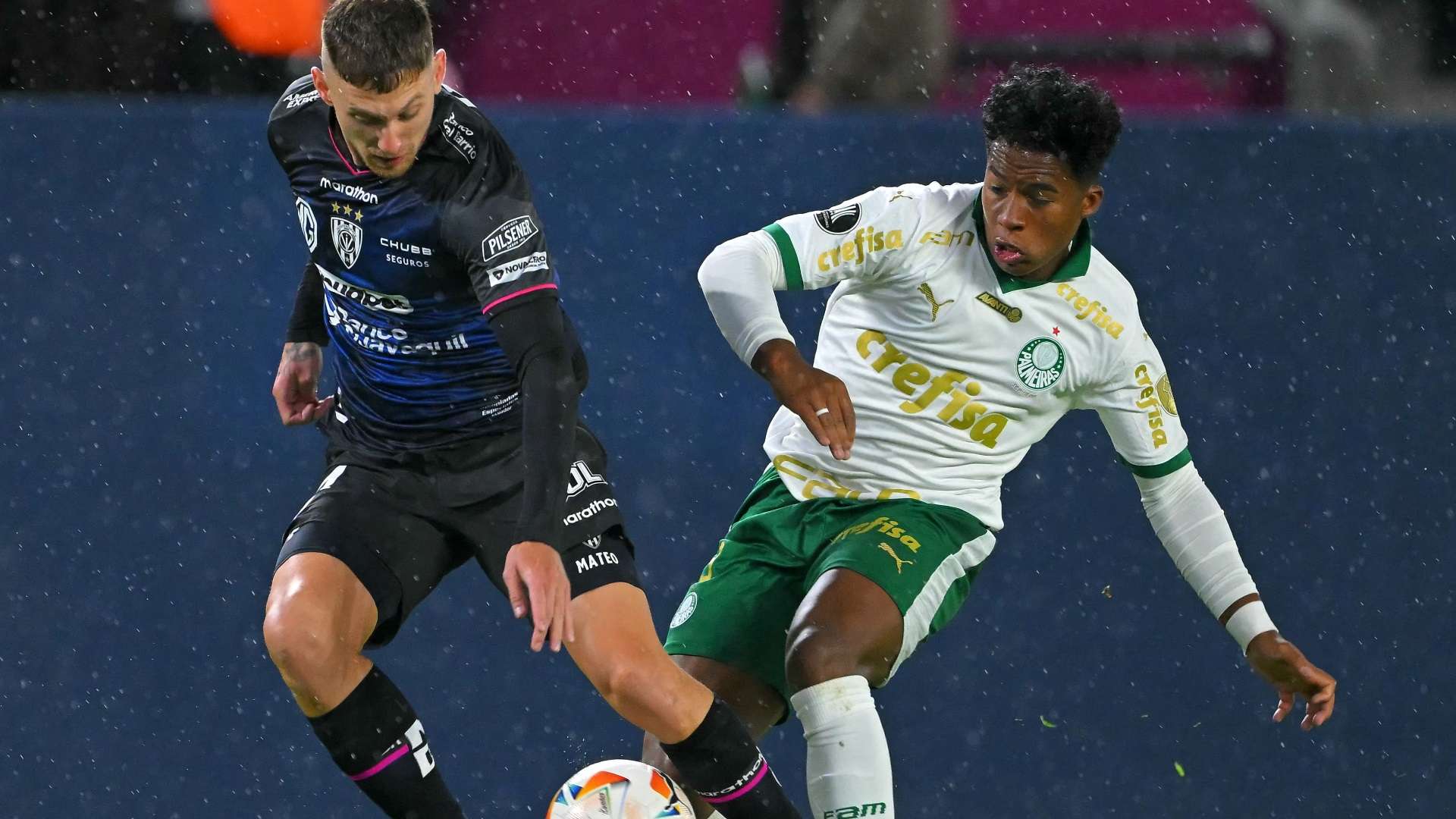 Del Valle Palmeiras, Endrick Libertadores 2024