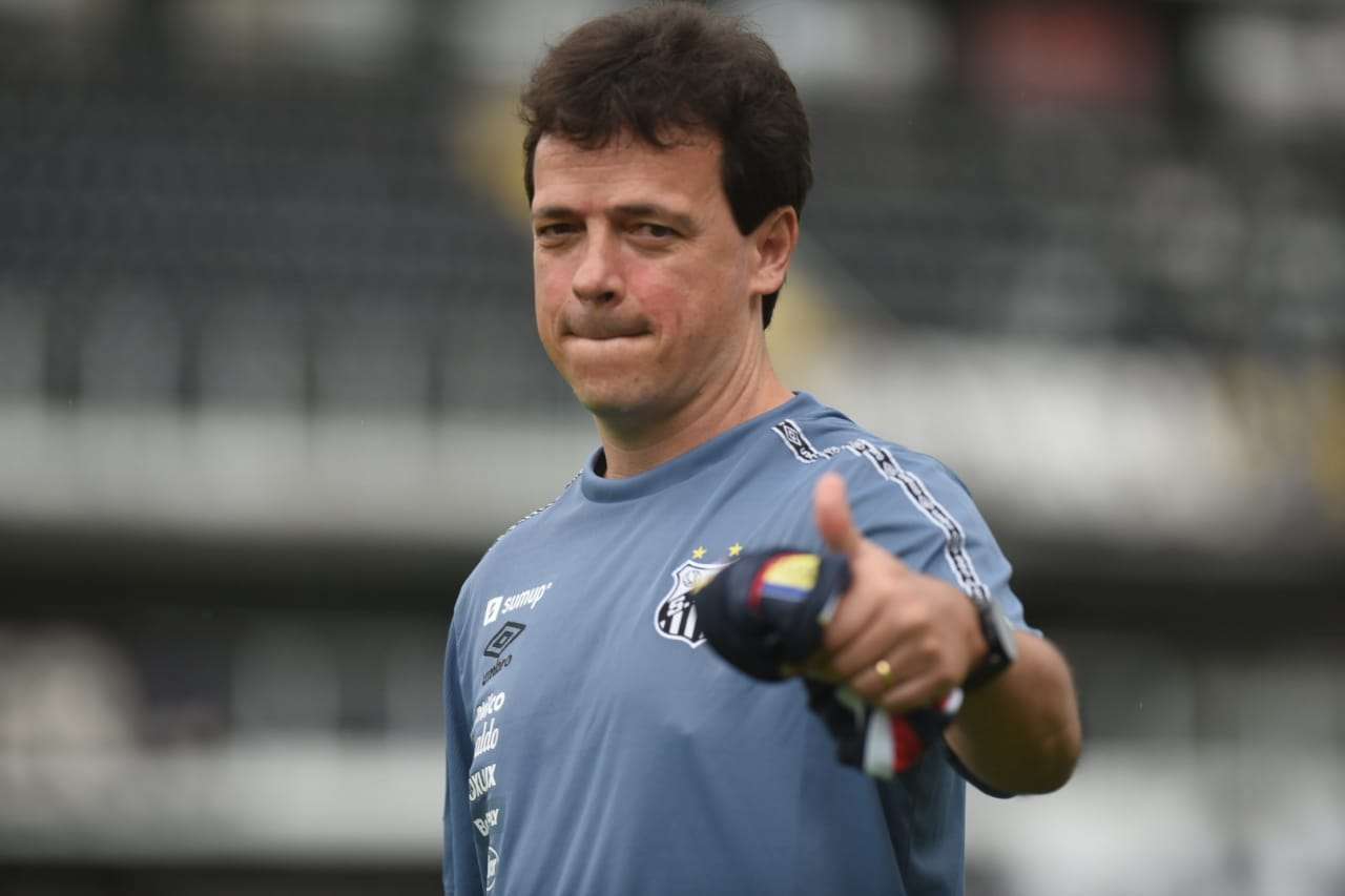 Fernando Diniz, técnico do Santos