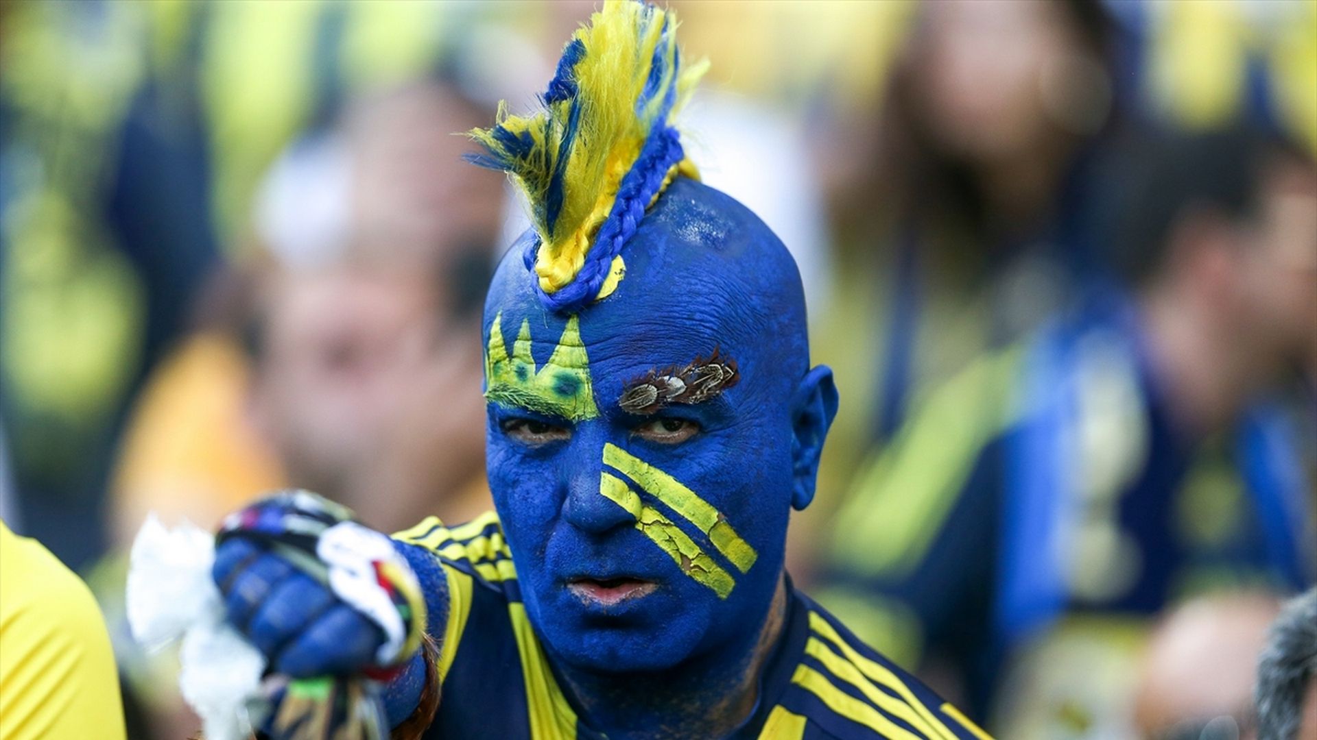 Fenerbahce fan