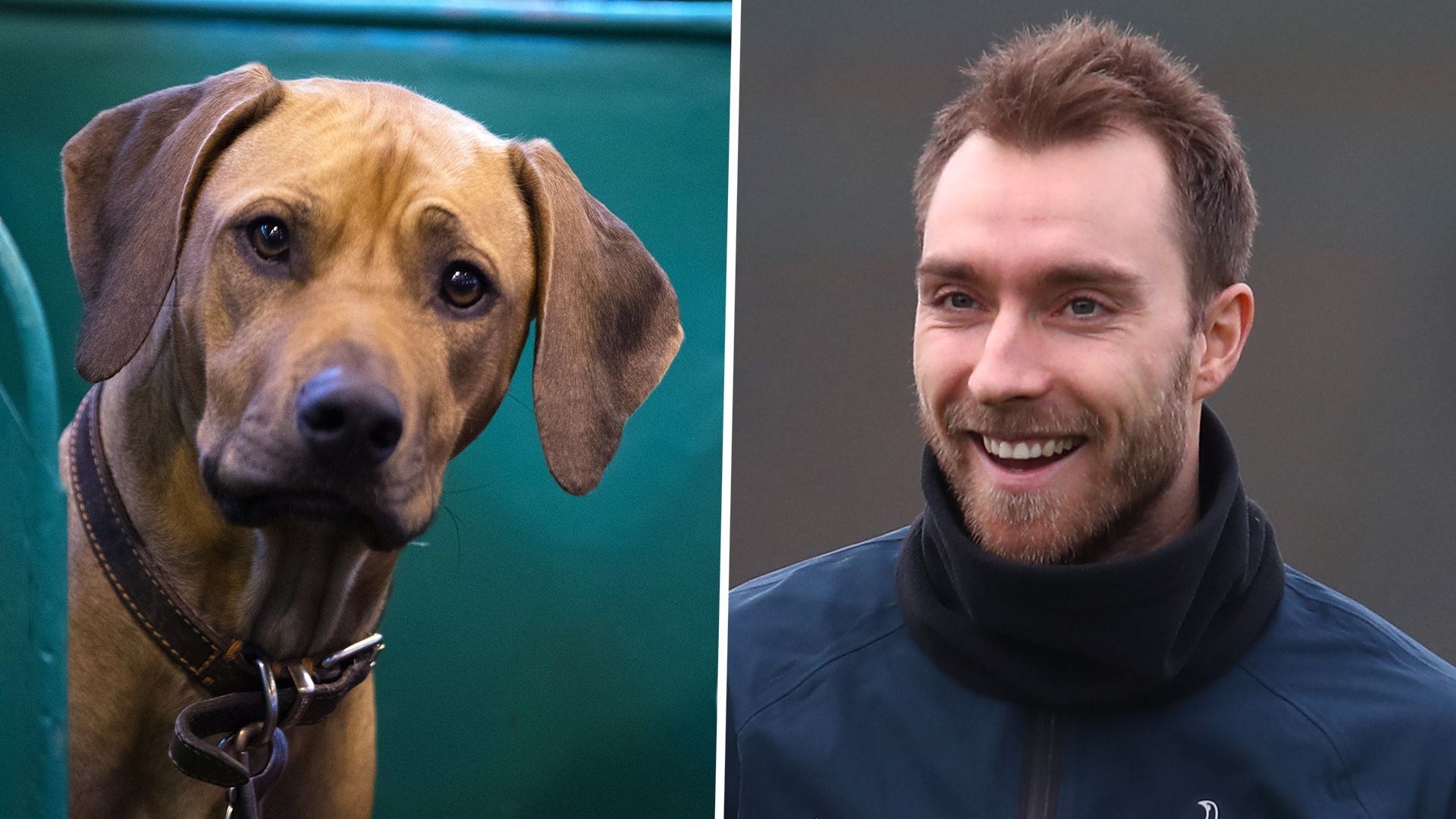 Ridgeback, Christian Eriksen